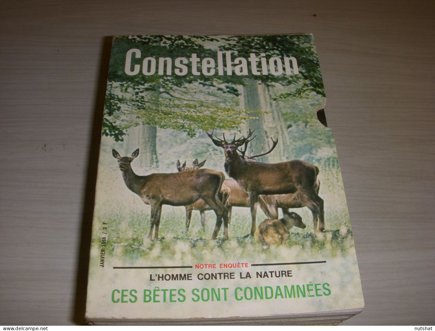 CONSTELLATION 213 01.1966 Aurelien SCHOLL Bob KENNEDY SAINT AMAND NORD - Other & Unclassified