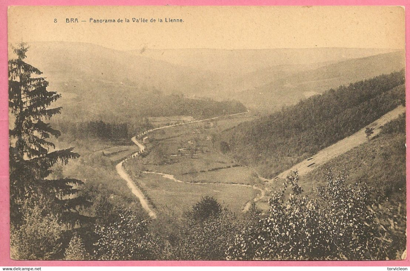 C.P. Bra = Panorama De La Vallée  De La Lienne - Lierneux