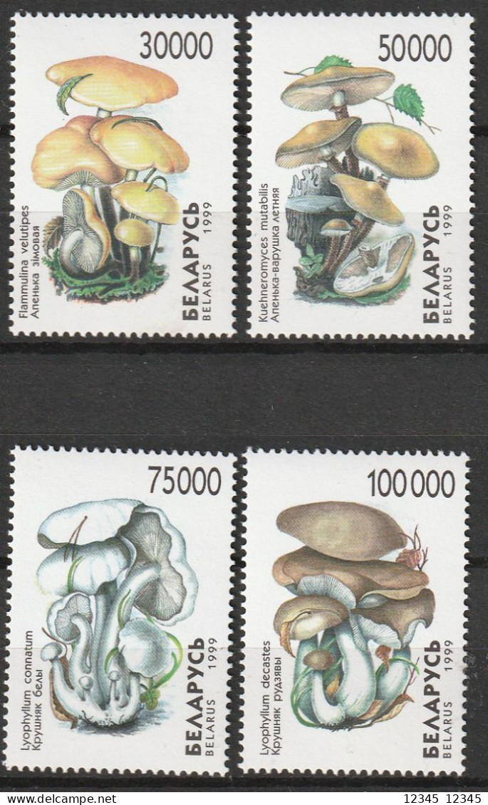 Wit Rusland 1999, Postfris MNH, Mushrooms - Belarus