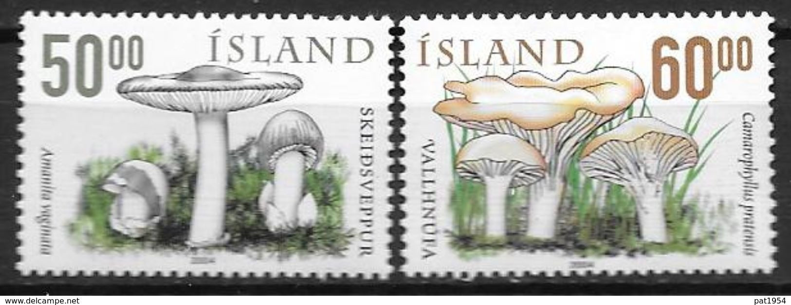 Islande 2004 N°999/1000 Neufs** Champignons - Nuevos