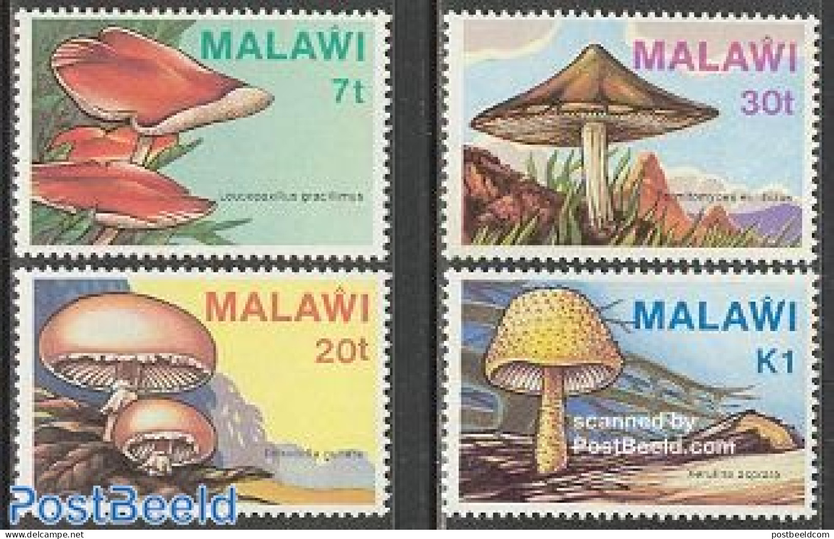 Malawi 1985 Mushrooms 4v, Mint NH, Nature - Mushrooms - Paddestoelen