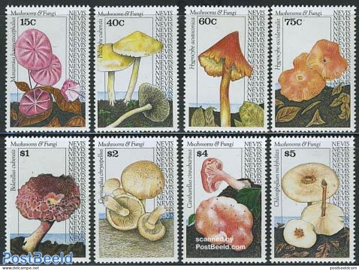 Nevis 1991 Mushrooms 8v, Mint NH, Nature - Mushrooms - Paddestoelen