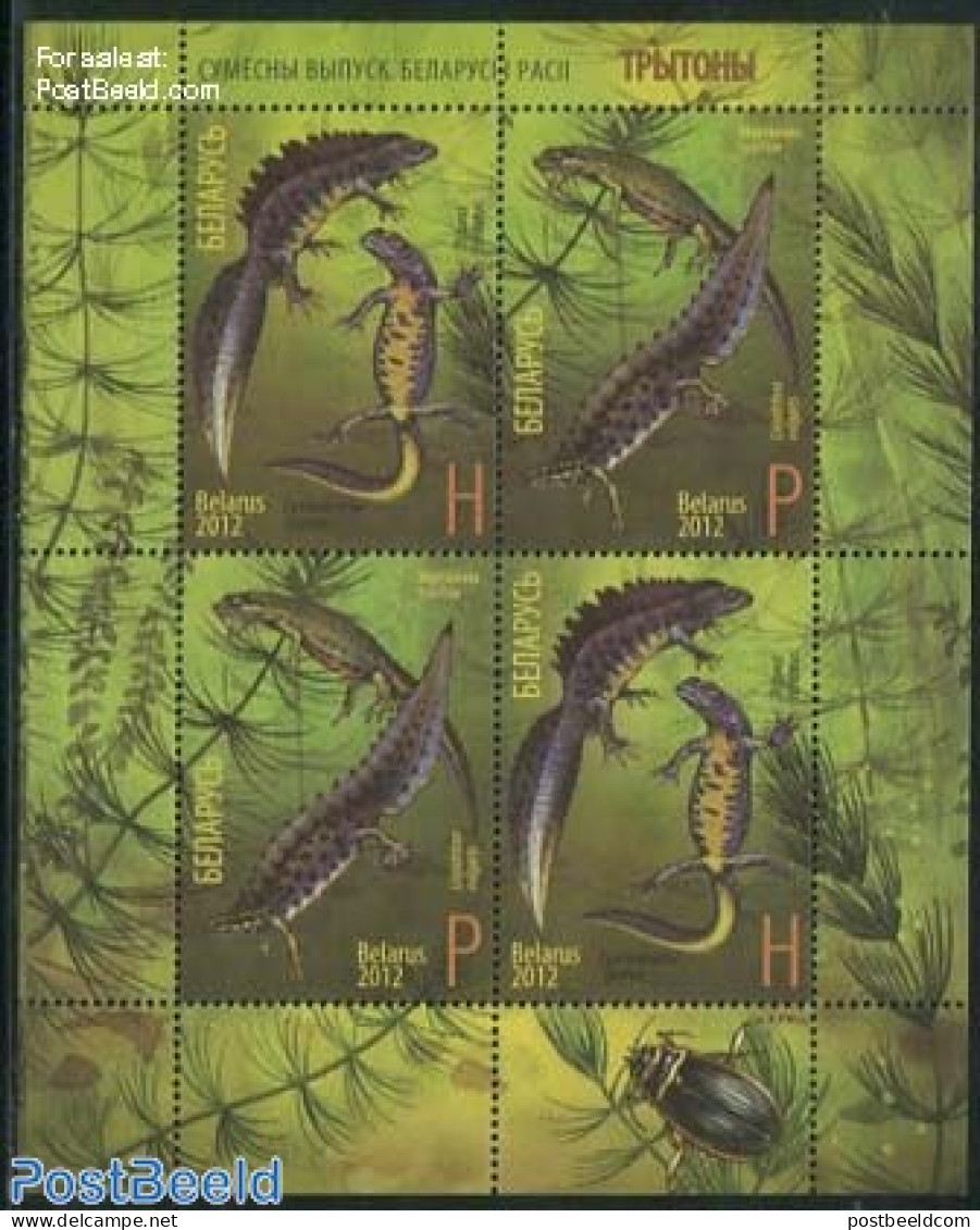 Belarus 2012 Animals S/s, Joint Issue With Russia, Mint NH, Nature - Various - Animals (others & Mixed) - Reptiles - J.. - Joint Issues