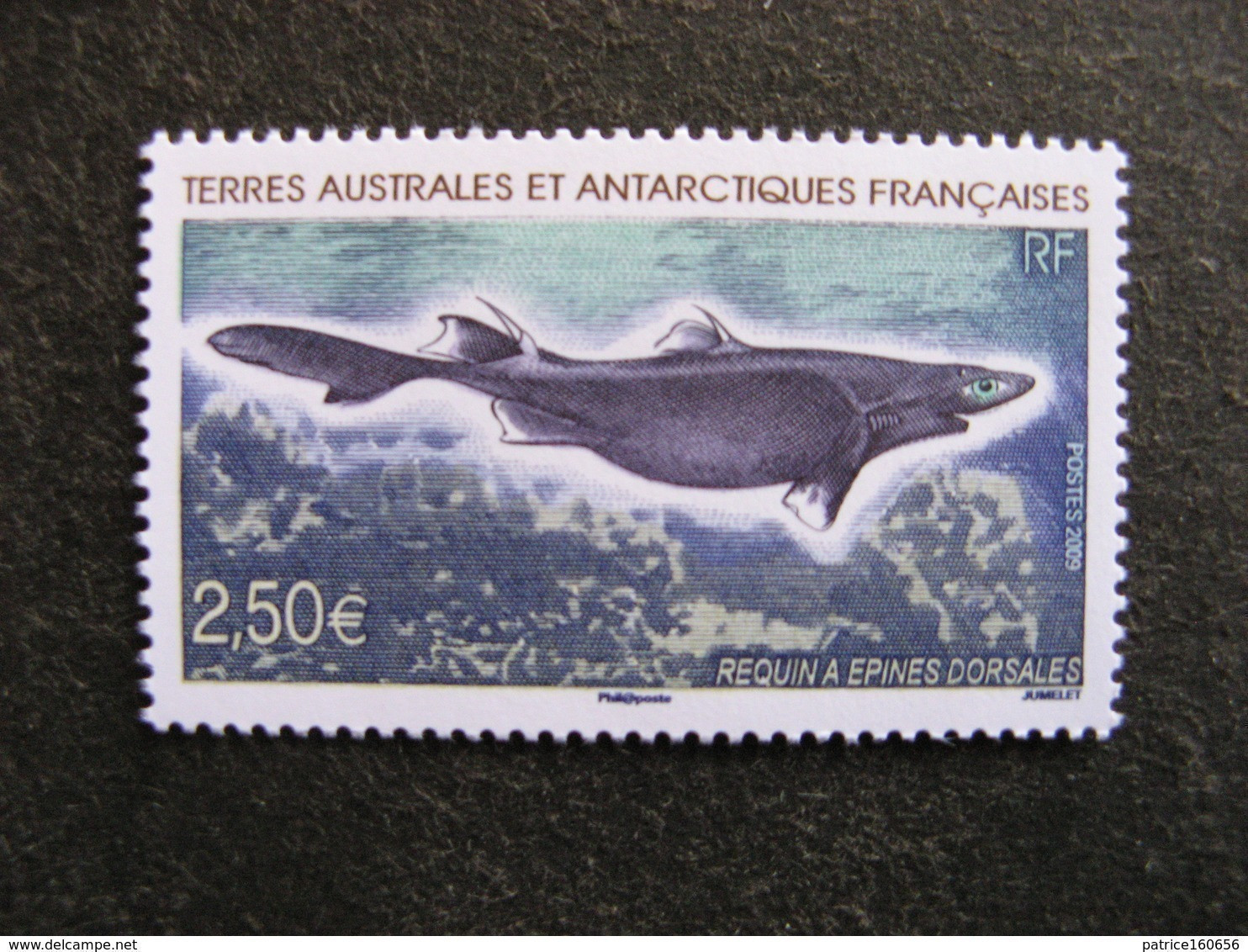 TAAF: TB N° 525, Neuf XX. - Unused Stamps