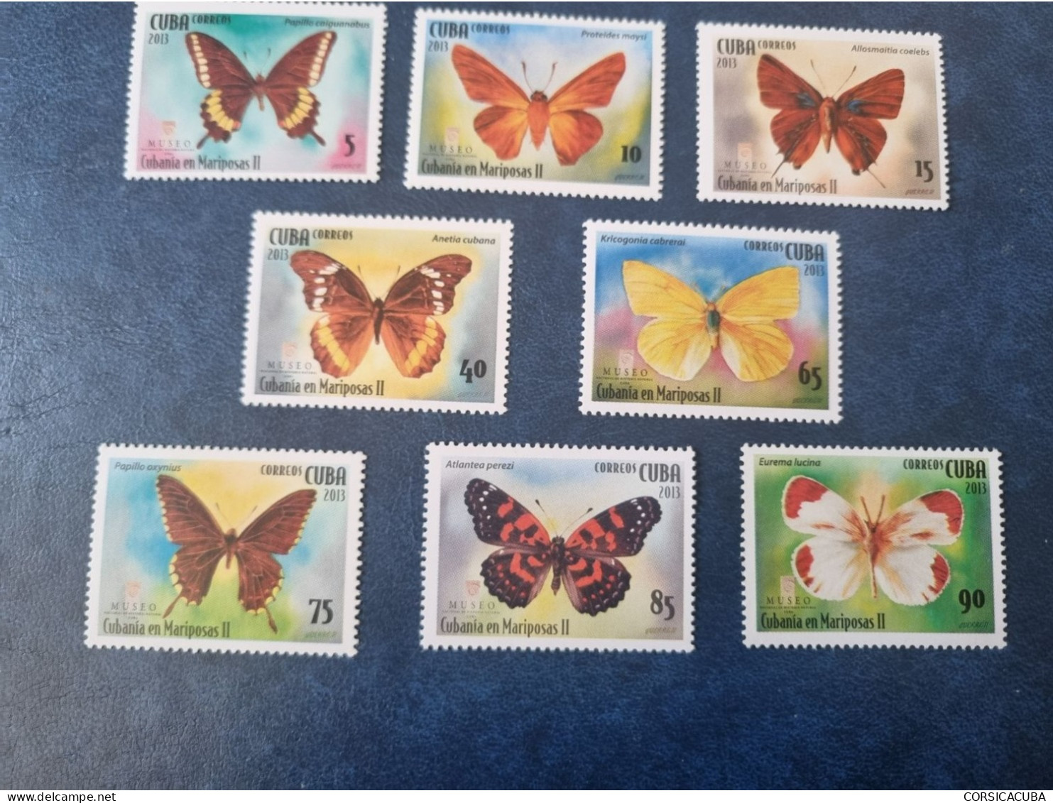 CUBA  NEUF  2013   CUBANIA  EN  MARIPOSAS  //  PARFAIT  ETAT  //  1er  CHOIX  // - Unused Stamps