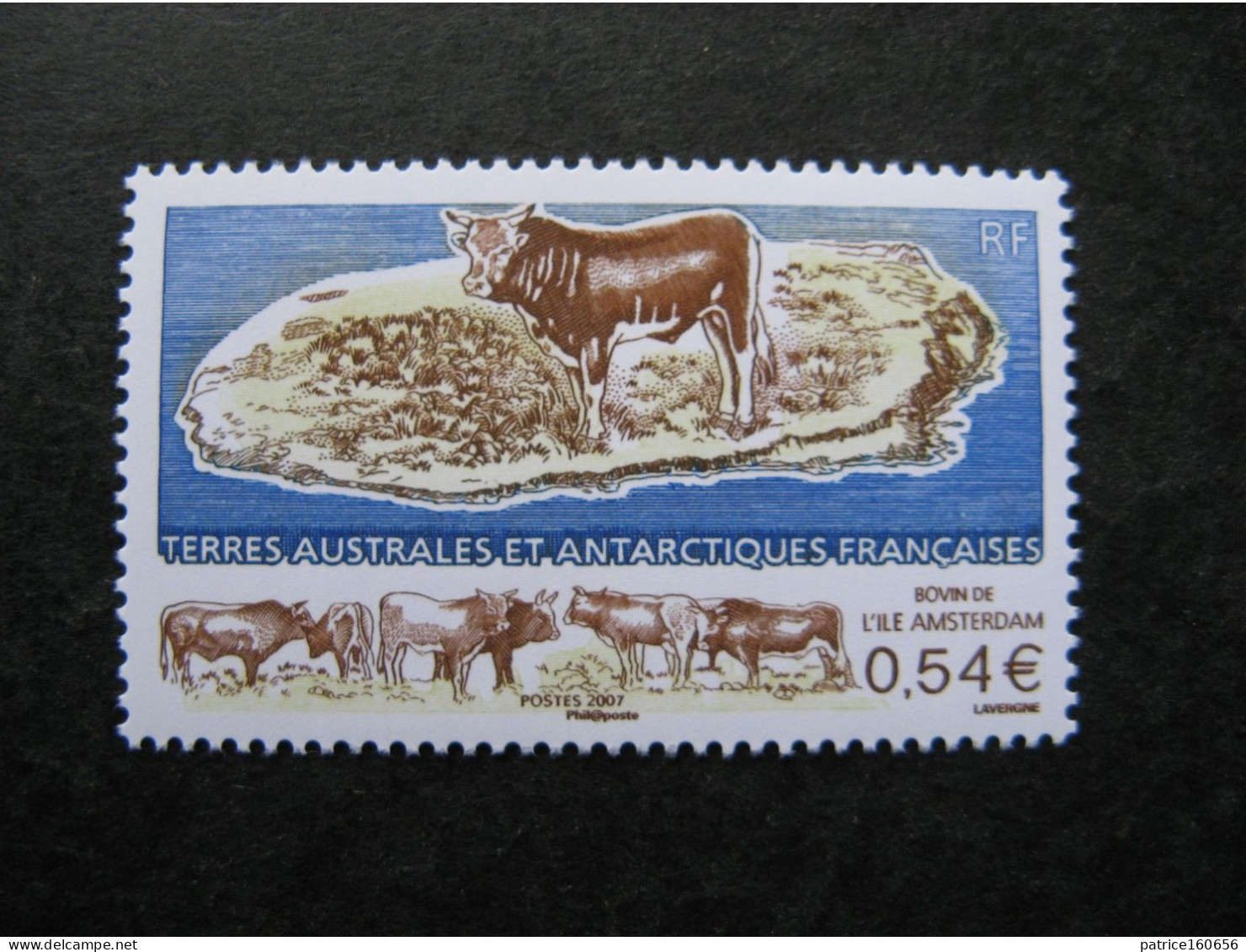 TAAF: TB N° 461, Neuf XX. - Unused Stamps