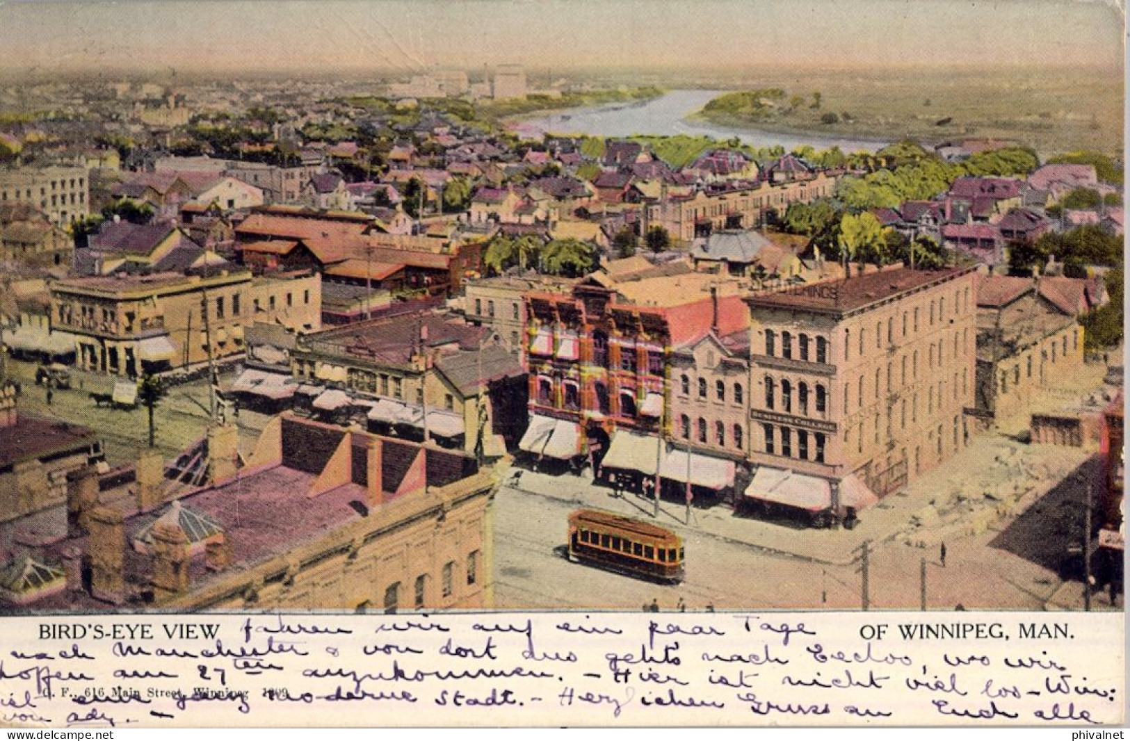 1908 WINNIPEG - FRANKFURT , T.P. CIRCULADA , YV. 87 - EDOUARD VII ET ALEXANDRA , " BIRD'S EYE VIEW OF WINNIPEG " - Cartas & Documentos