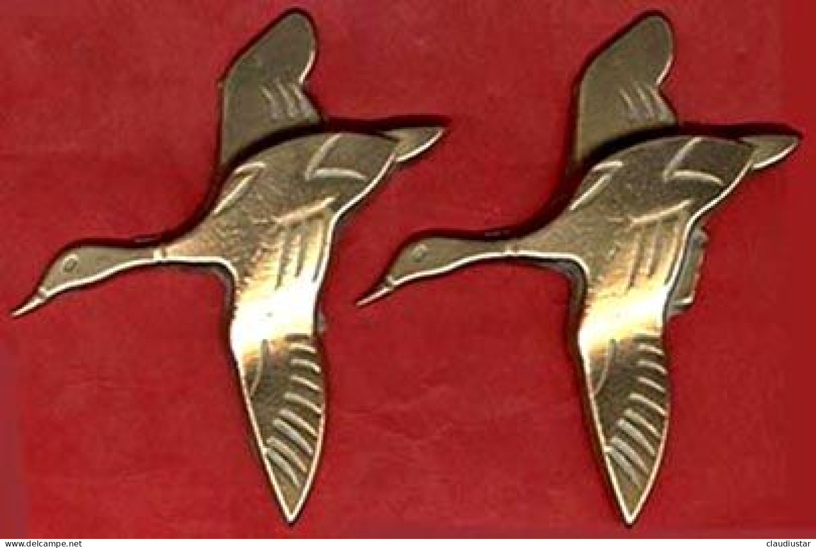 ** LOT  2  CANARDS ** - Uccelli - Anatre