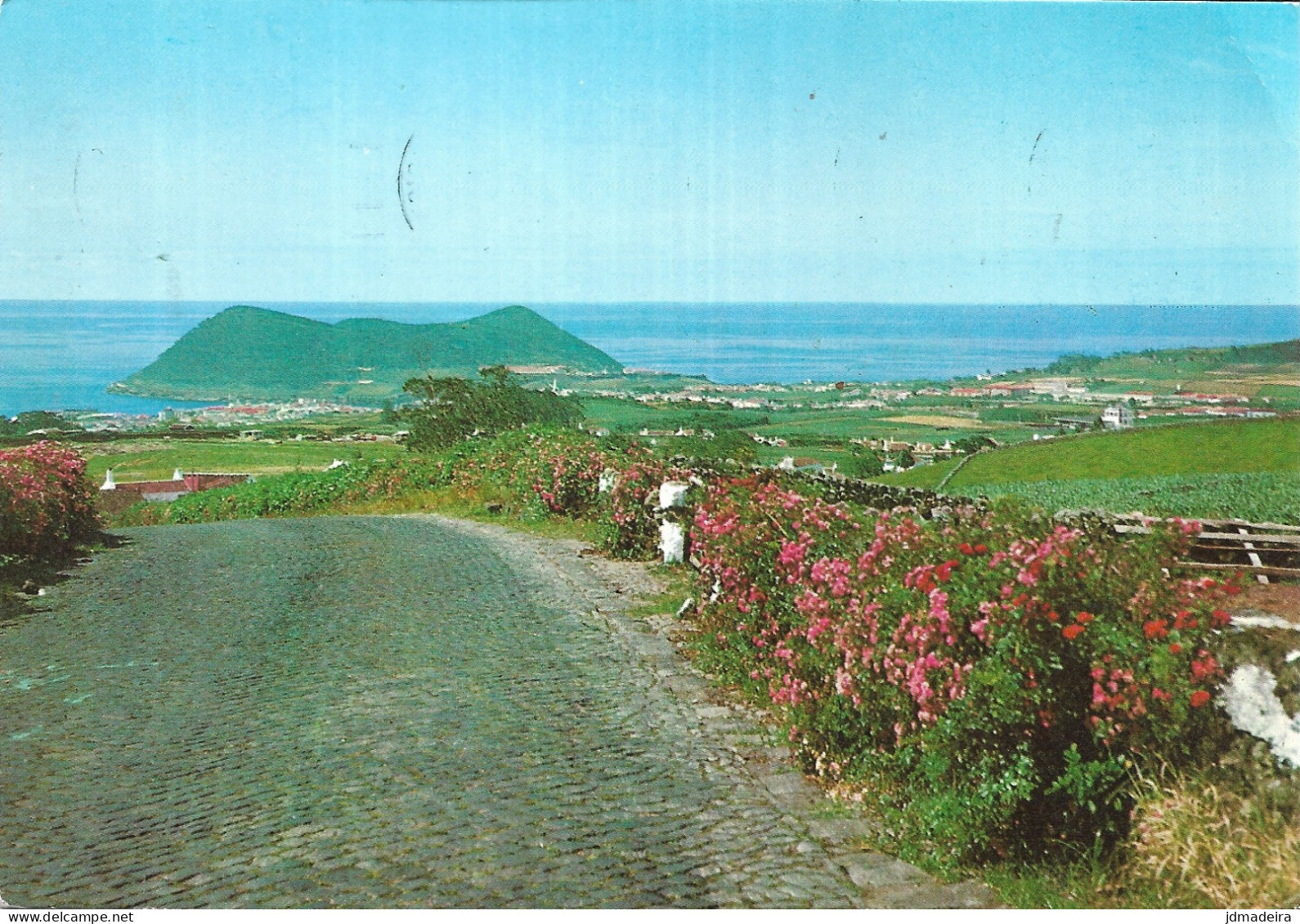 ILHA TERCEIRA AÇORES Vista Do Pico Redondo Postcard - Açores