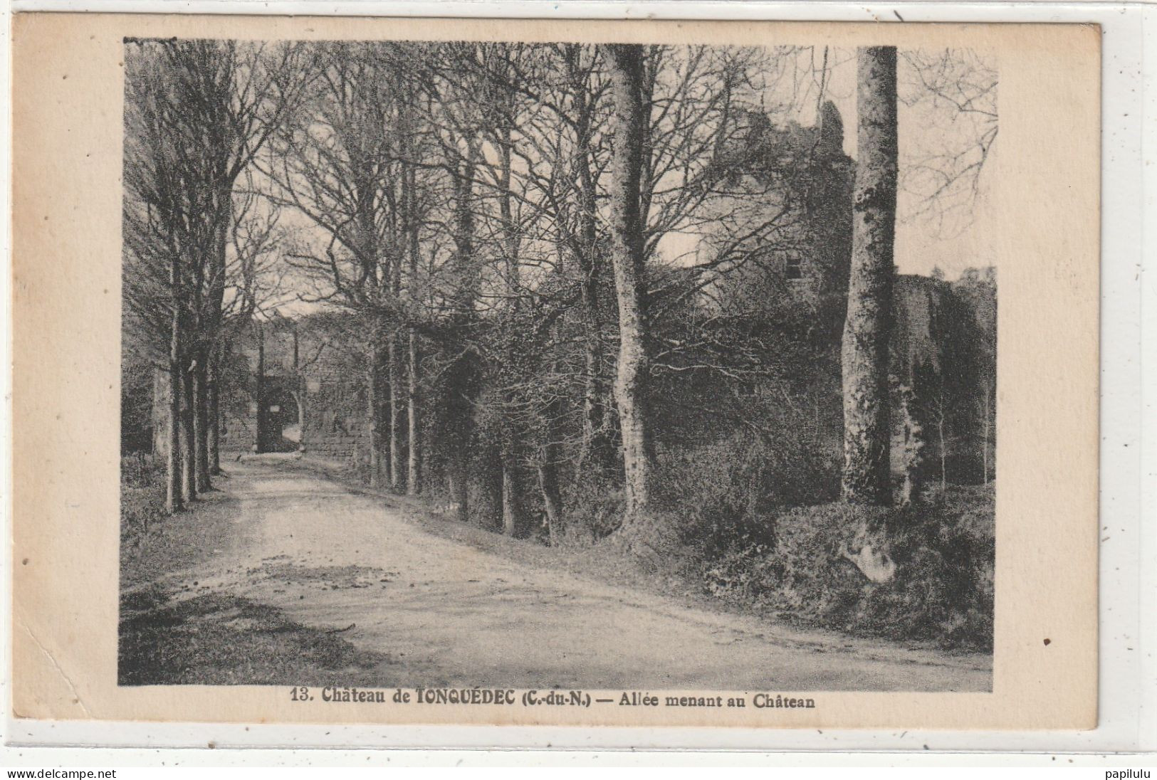 98 DEPT 22 : édit. N L Morlaix N° 13 : Château De Tonquédec Allée Menant Au Château - Tonquédec