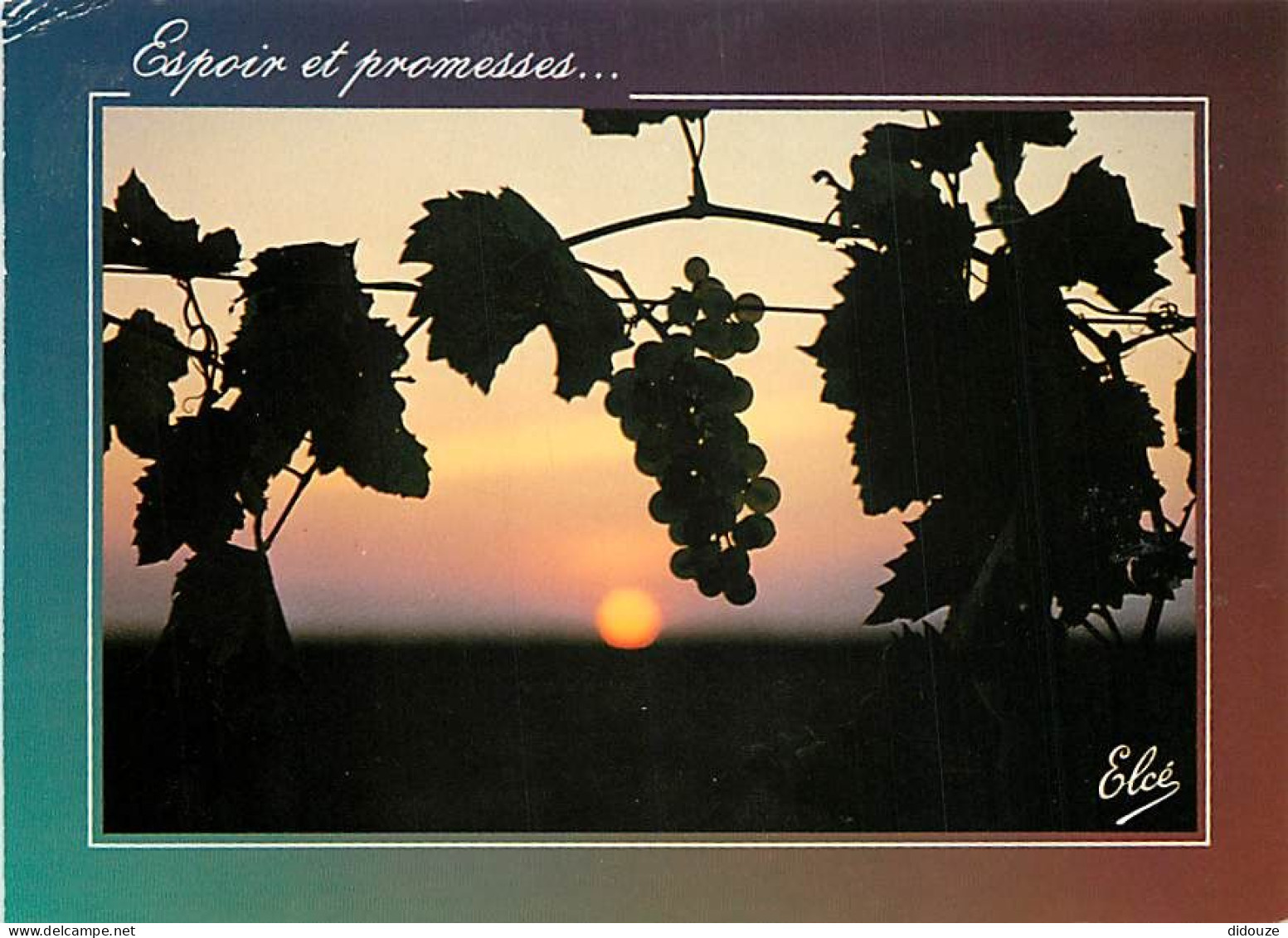 Vignes - La Vigne Au Soleil Couchant - CPM - Etat Pli Visible - Voir Scans Recto-Verso - Wijnbouw