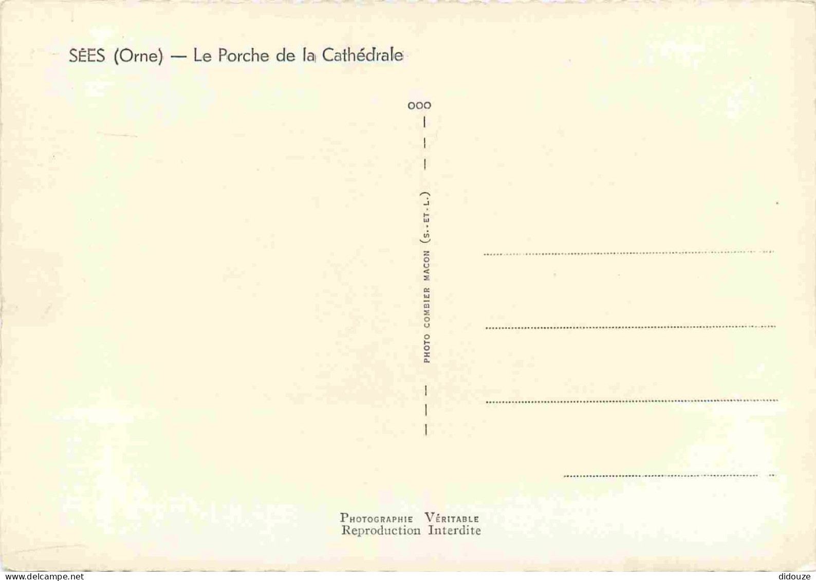 61 - Sées - La Cathédrale - Le Porche - Mention Photographie Véritable - Carte Dentelée - CPSM Grand Format - Carte Neuv - Sees