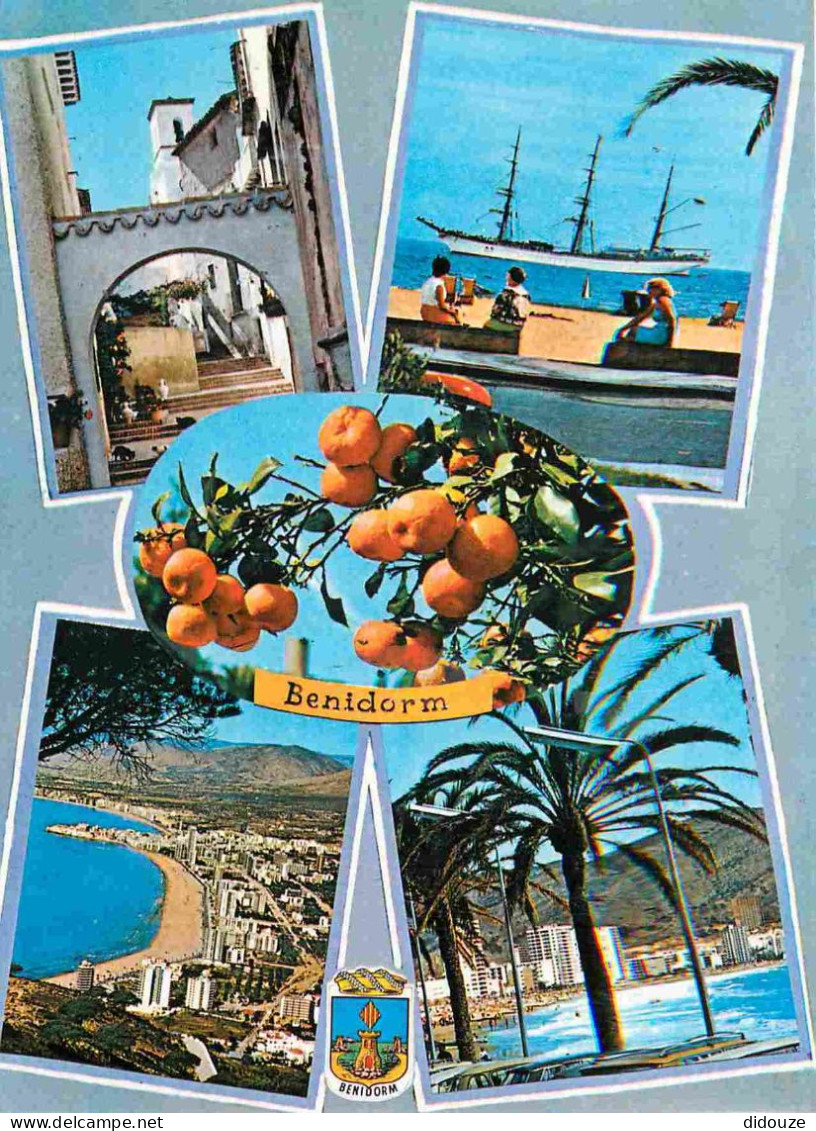 Espagne - Espana - Comunidad Valenciana - Benidorm - Multivues - Oranges - CPM - Voir Scans Recto-Verso - Alicante