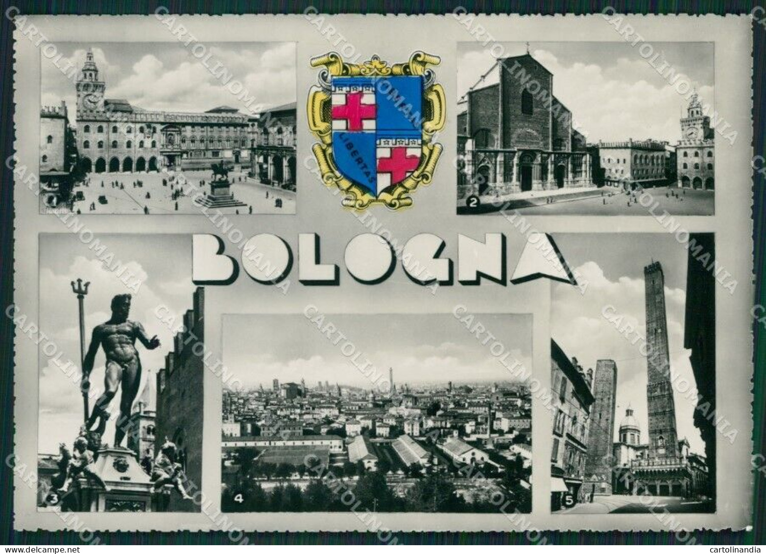 Bologna Città Foto FG Cartolina ZK6104 - Bologna