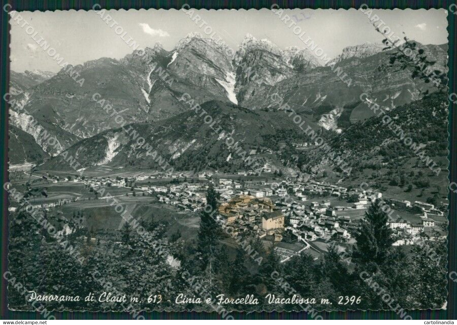 Pordenone Claut Cinia Forcella Vacalissa MACCHIA Foto FG Cartolina KB3530 - Pordenone