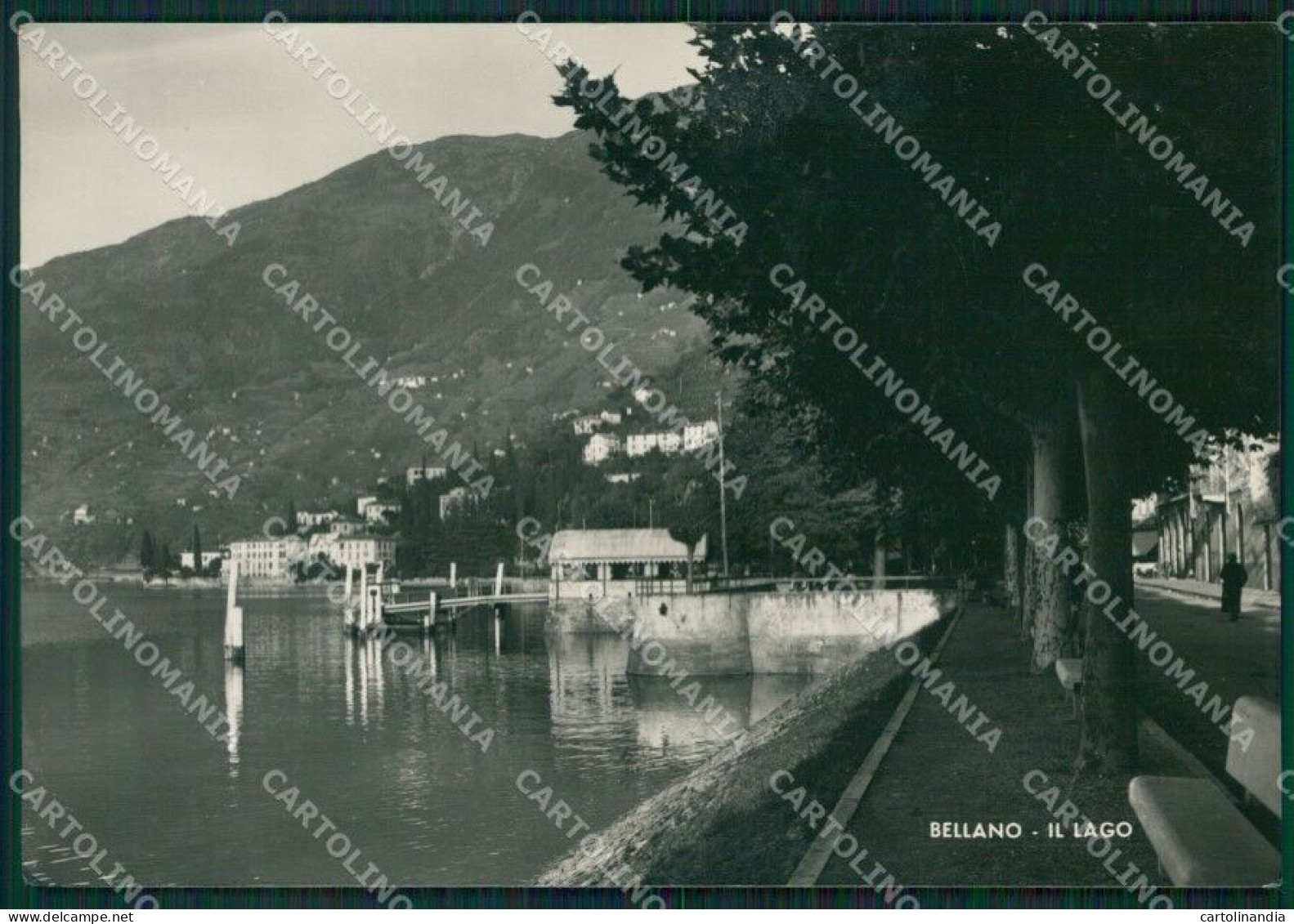 Lecco Bellano Foto FG Cartolina ZKM9263 - Lecco