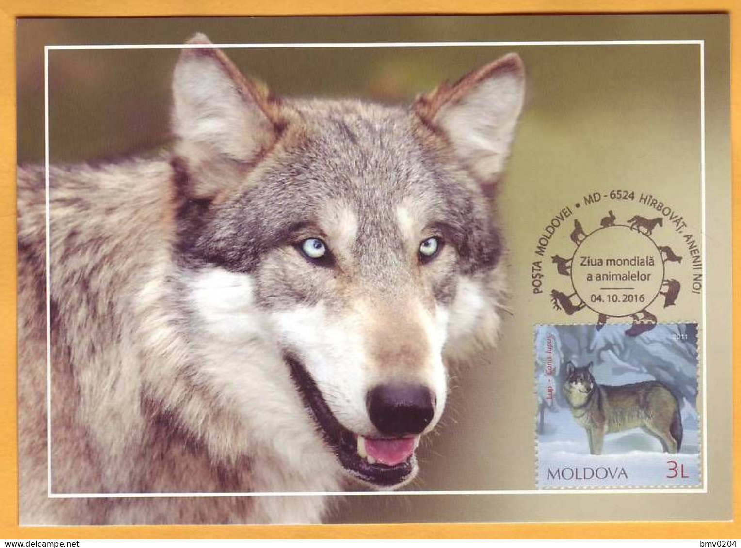 2016 2015 Moldova Moldavie  MAXICARD Fauna, Wolf, Predators - Moldawien (Moldau)