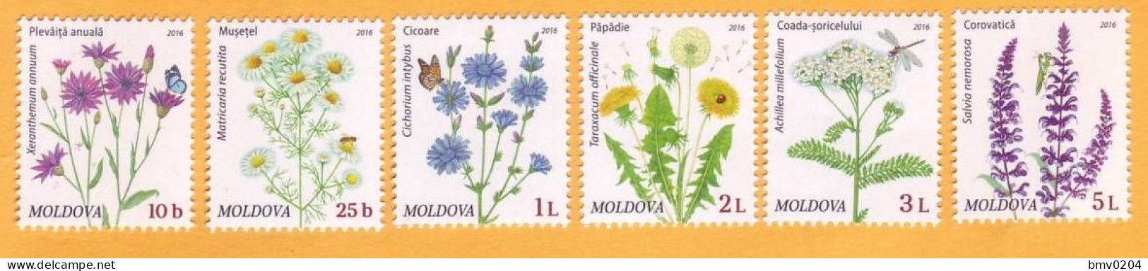 2016  Moldova Moldavie Moldau  Wildflowers Of Moldova Immortelle Chamomile Common Yarrow Salvia 6v Mint - Moldova