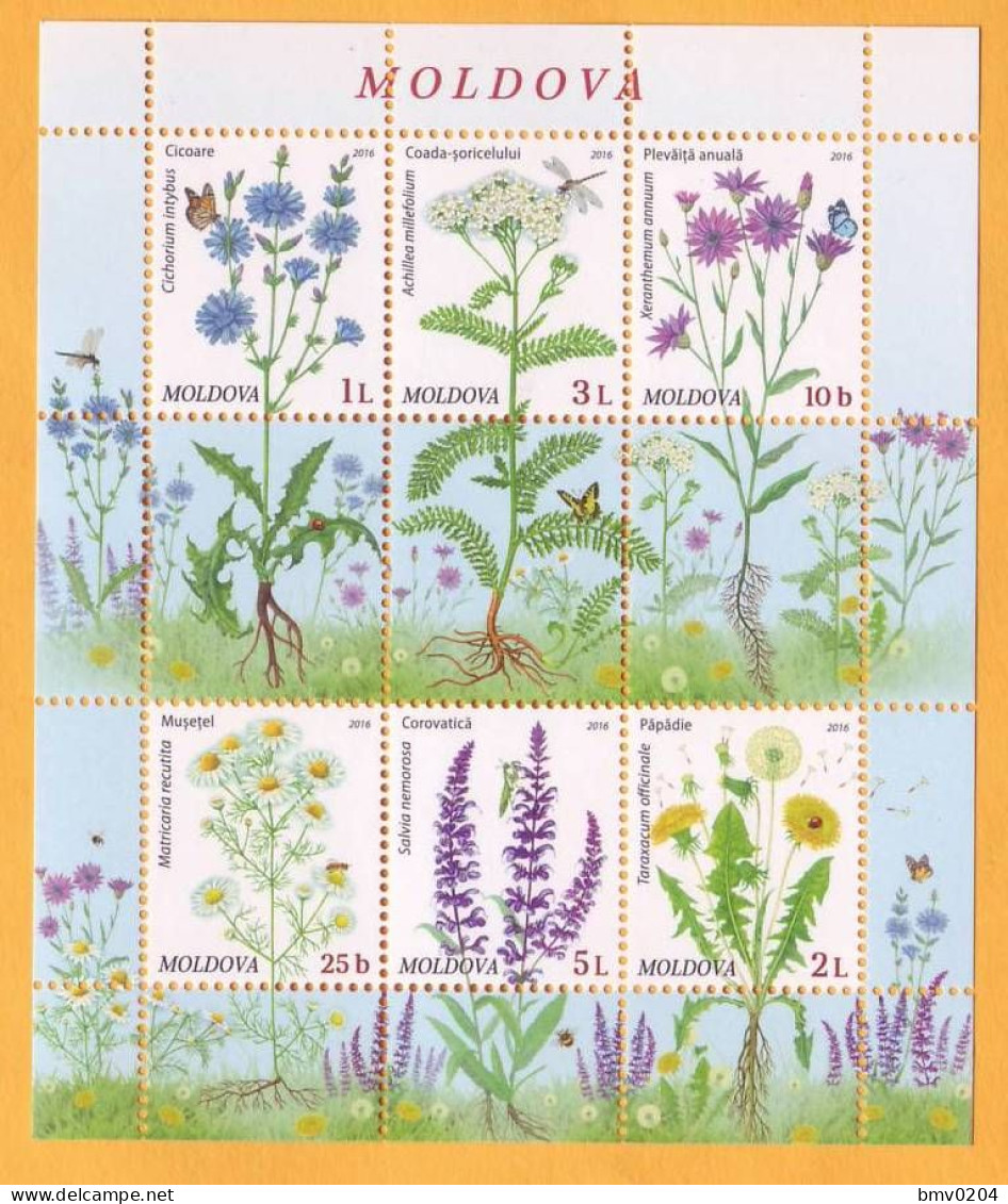 2016  Moldova Moldavie Moldau.  Wildflowers Of Moldova. Flowers, Nature  6v Mint - Moldavie