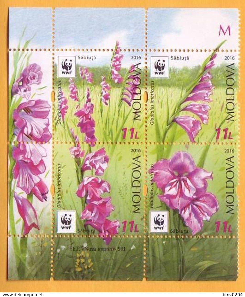 2016  Moldova Moldavie  WWF Gladiolus Imbricatus Guarded Flora. Gladiolus  Flowers, Nature Mint. - Moldavië