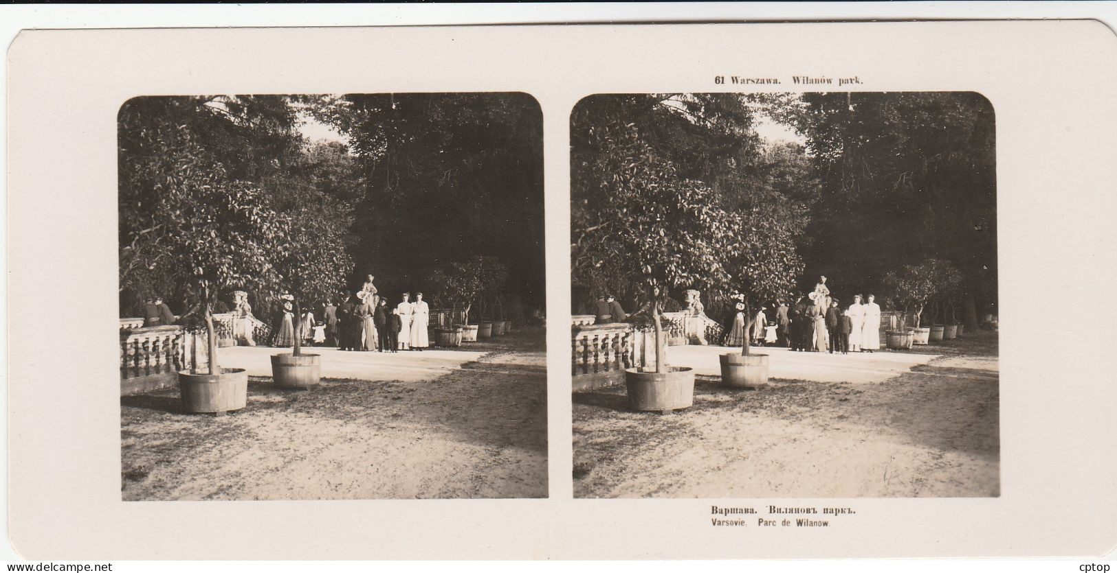 Warszawa , Wilanow Park Photo 1906 Dim 18 Cm X 9 Cm - Pologne