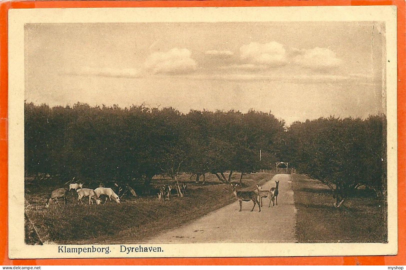 DK125_*  KLAMPENBORG  DYREHAVEN *  WRITTEN BACKSIDE 1918 - Danemark