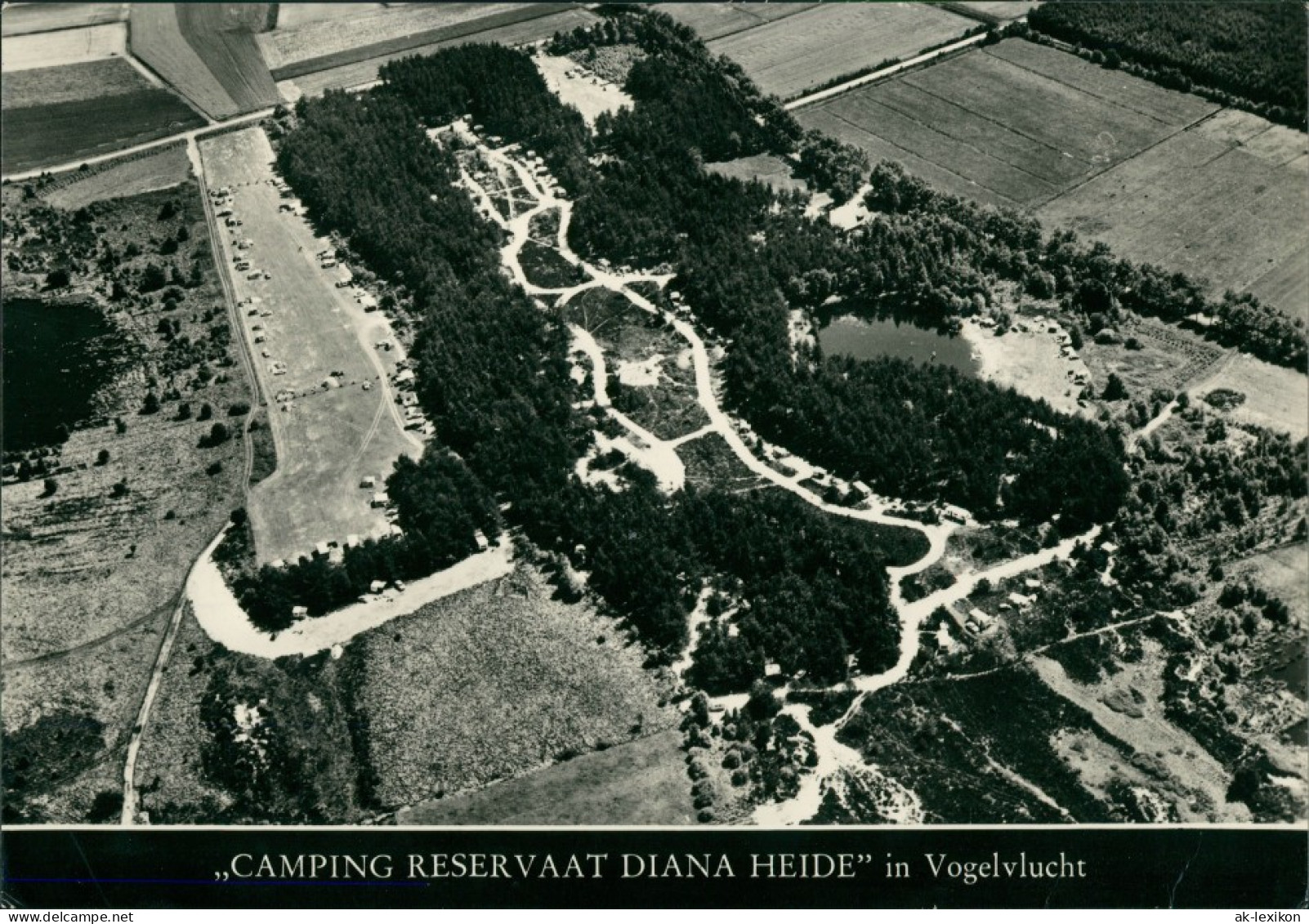 Rolde Drenthe RESERVAAT DIANA HEIDE Camping Luchtfoto/Fliegeraufnahme 1965 - Andere & Zonder Classificatie