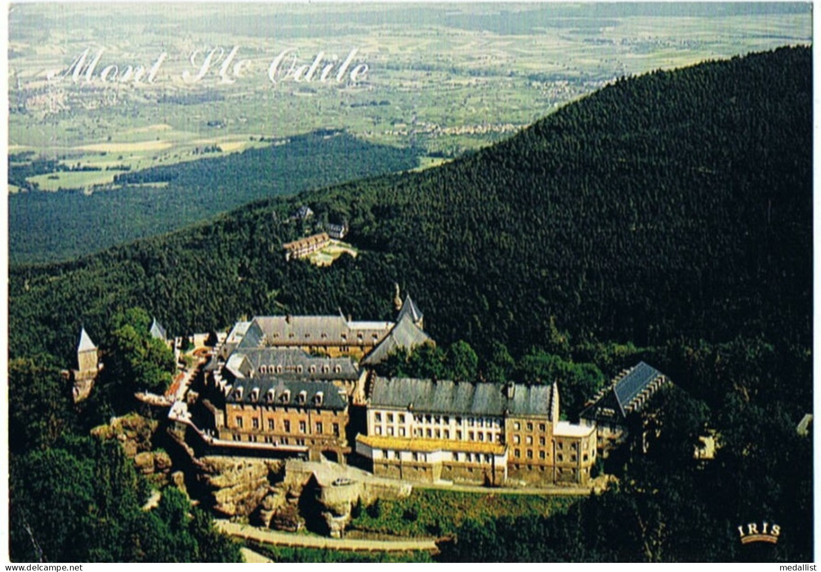 CPM..67..MONT SAINTE ODILE.. LA PLAINE D'ALSACE - Sainte Odile