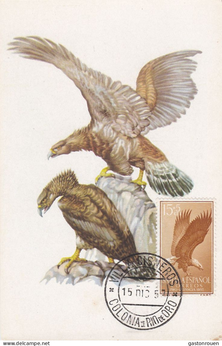 Carte Maximum Sahara Espagnol Espanol 1957 Oiseau Bird Aigle Royal Rapace Raptor - Spaanse Sahara