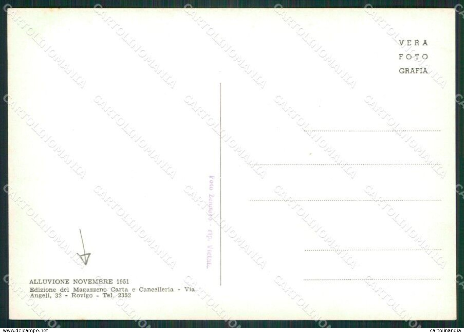 Rovigo Città Alluvione 1951 Foto FG Cartolina ZK3013 - Rovigo