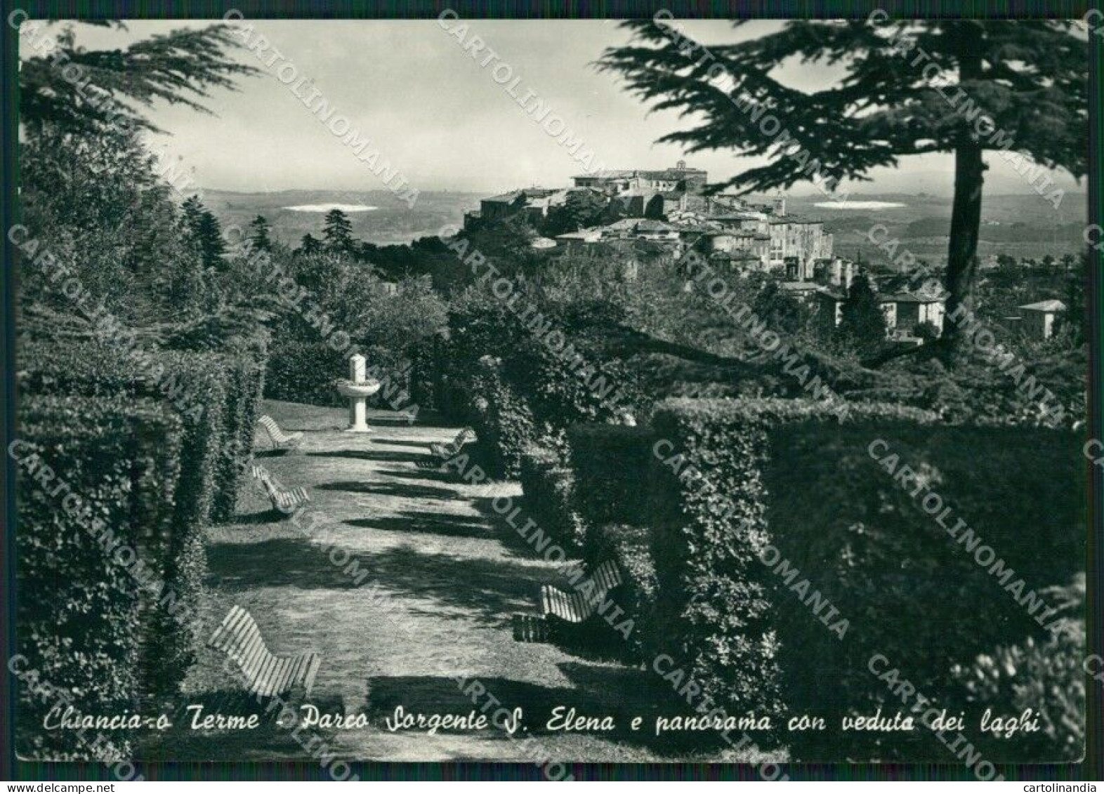 Siena Chianciano Terme Sorgente Sant'Elena Foto FG Cartolina ZK1492 - Siena