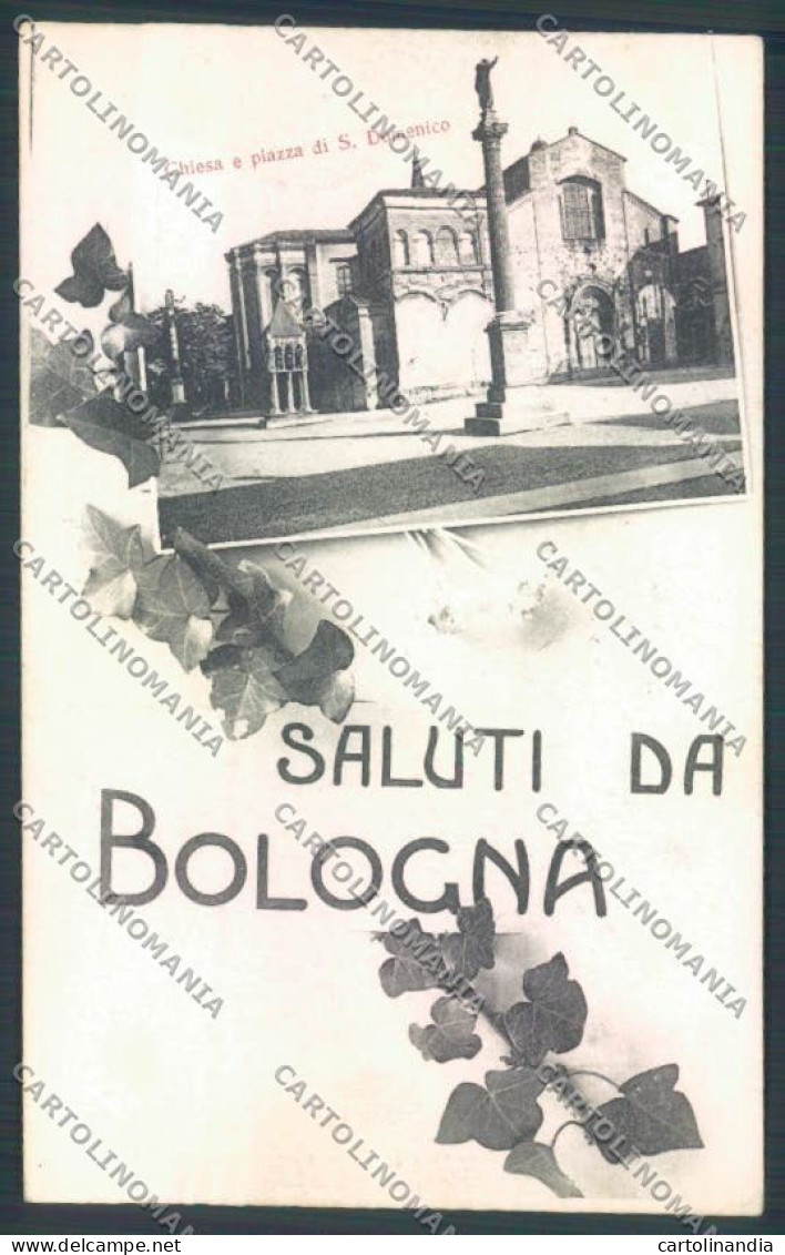 Bologna Città Saluti Da Cartolina ZT2207 - Bologna