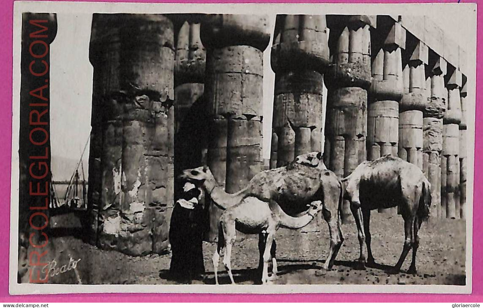 Ag2632  - EGYPT - VINTAGE POSTCARD  - Ethnic - Africa