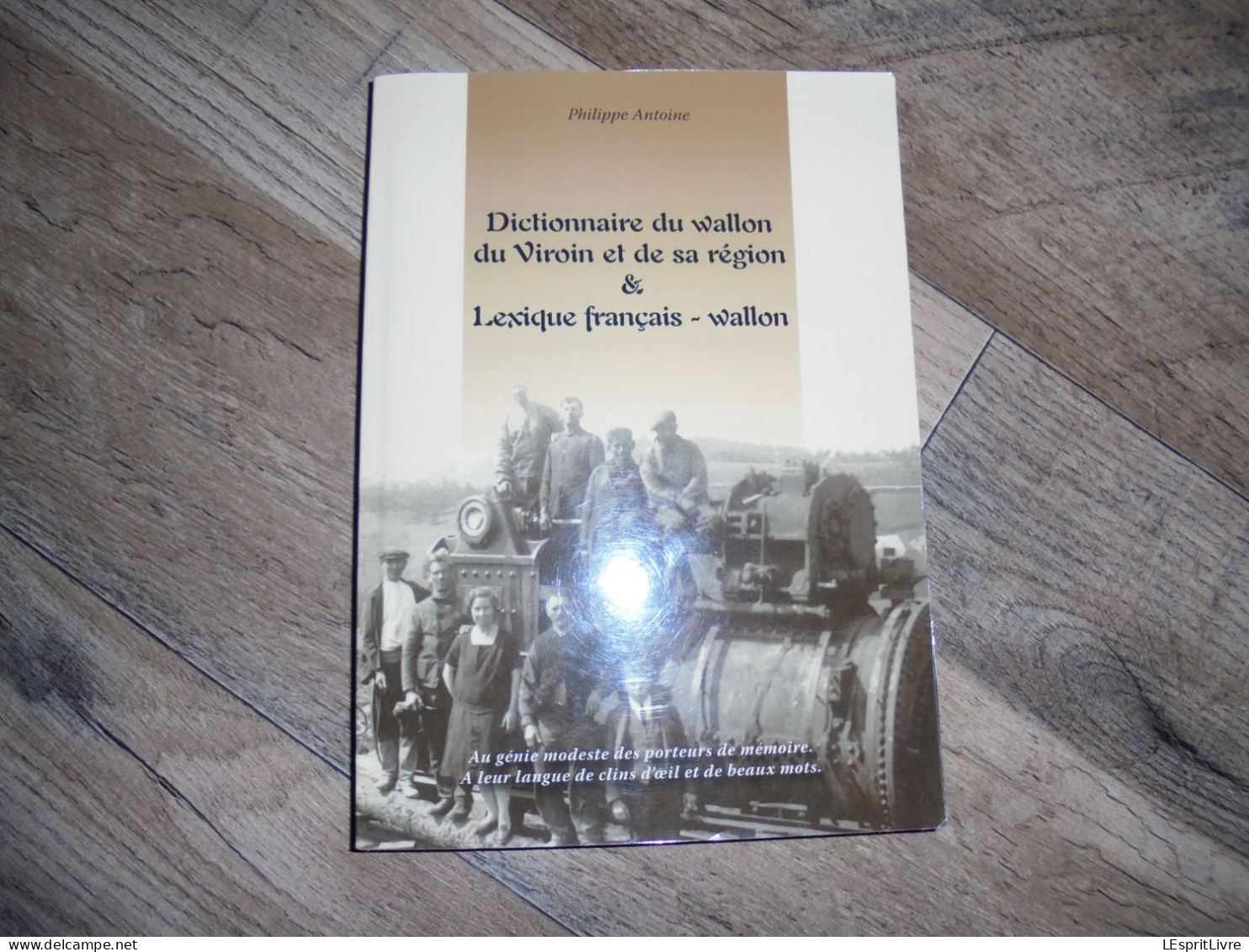 DICTIONNAIRE DU WALLON DU VIROIN ET SA REGION Régionalisme Patois Parler Wallon Lexique Treignes Mazée Viroinval Olloy - Belgique