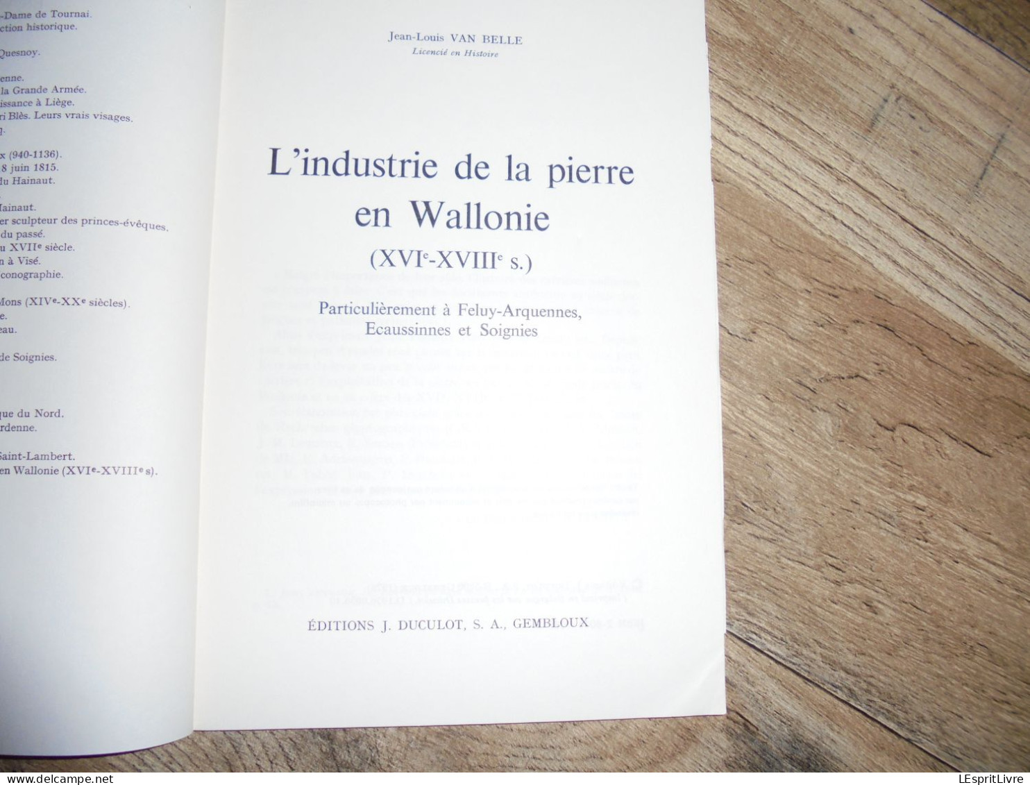 L' INDUSTRIE DE LA PIERRE EN WALLONIE Van Belle Art Histoire Régionalisme Carrière Feluy Arquennes Ecaussinnes Soignies - Belgique