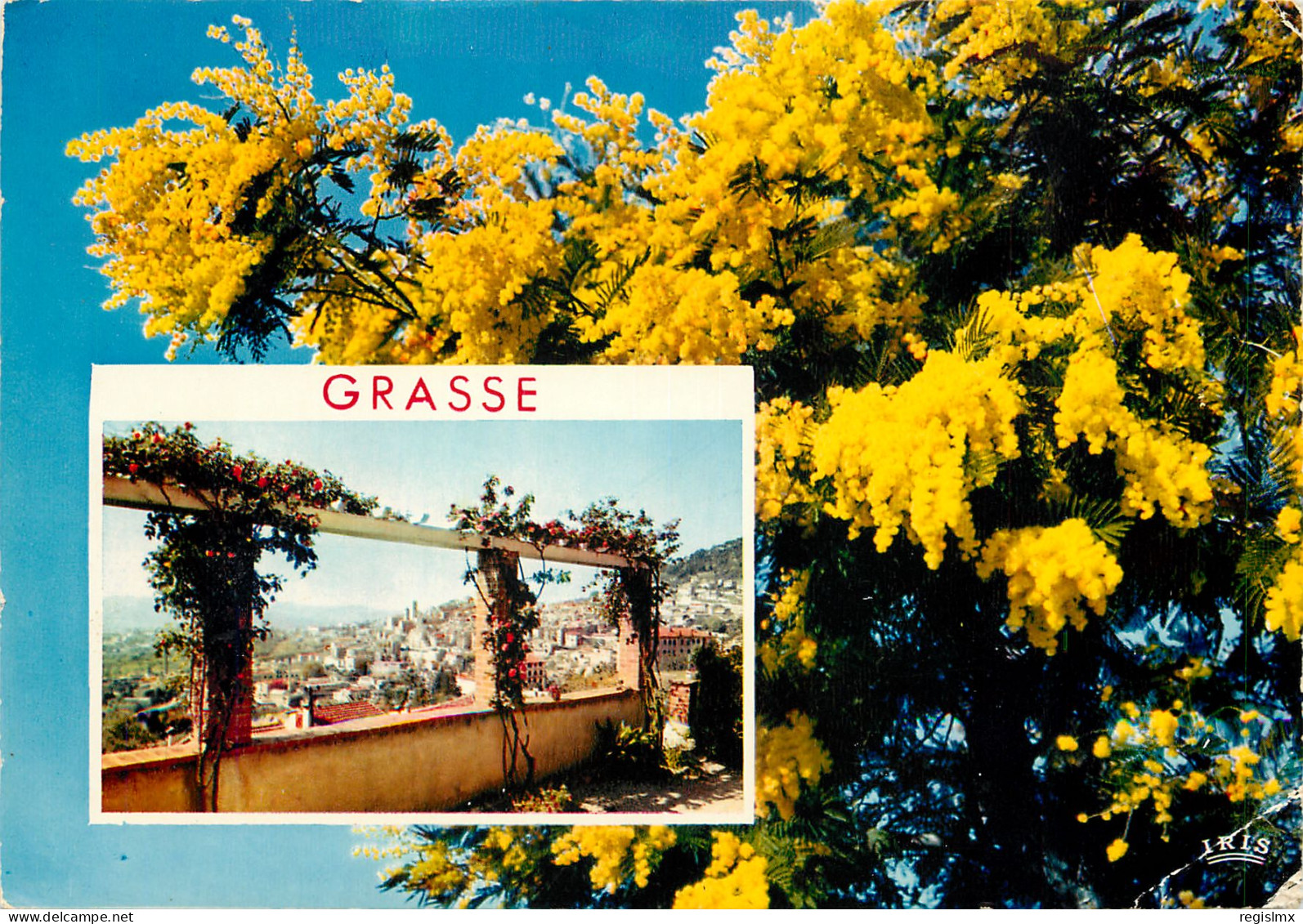 06-GRASSE-N°2001-B/0375 - Grasse