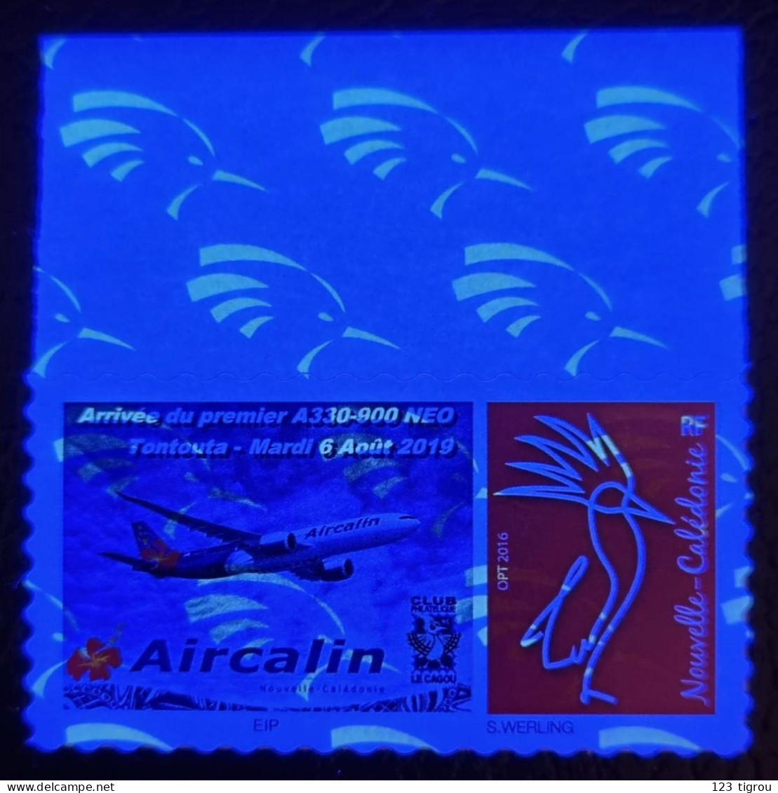 CAGOU PERSONNALISE LOGO AIRCALIN 2019 OPT 2016 TB - Nuovi