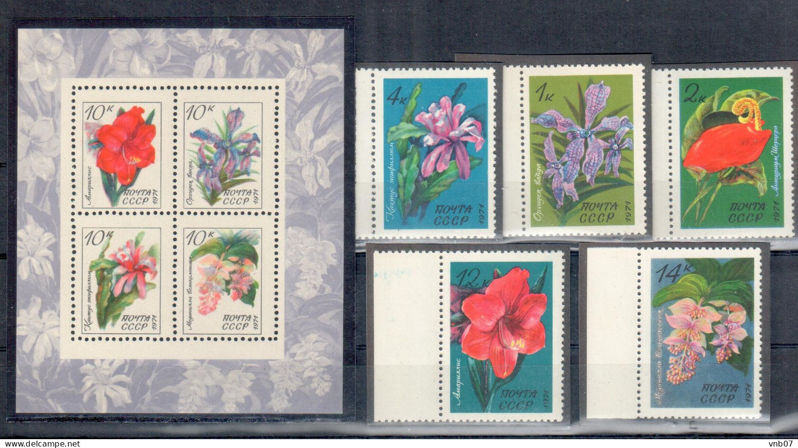 Russia USSR 1971. Sc#3924-3929, Mi#3954-3960, Bl.73. Flowers. Orchid,Cactus. MNH - Neufs