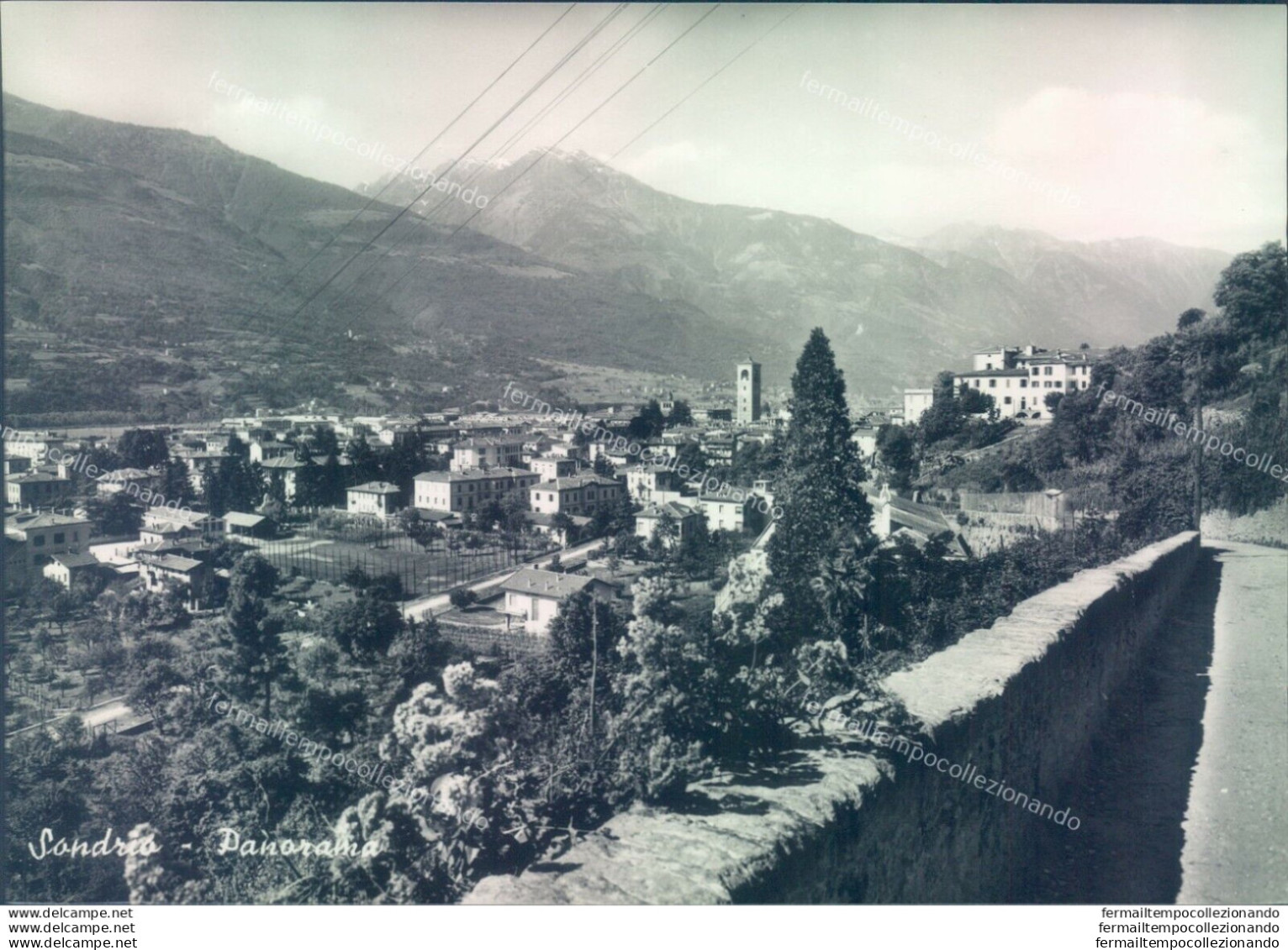 D119 - Cartolina Sondrio Citta'  -  Panorama - Sondrio