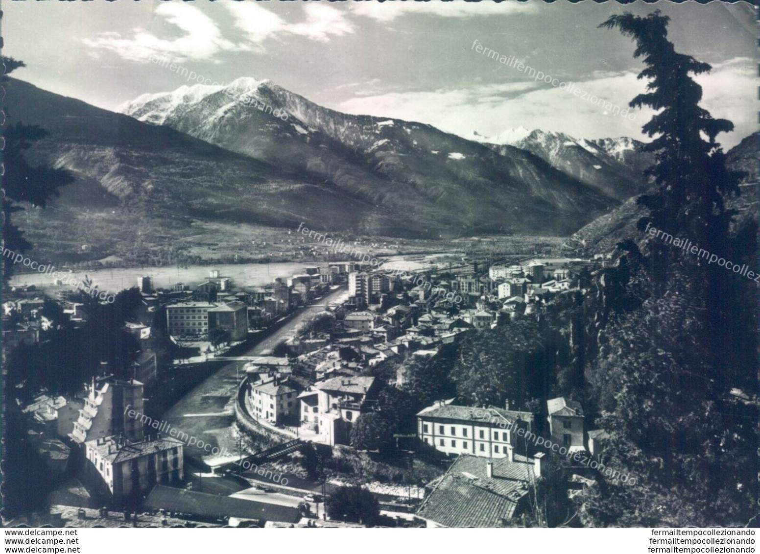 D114 - Cartolina Sondrio Citta'  -  Panorama - Sondrio