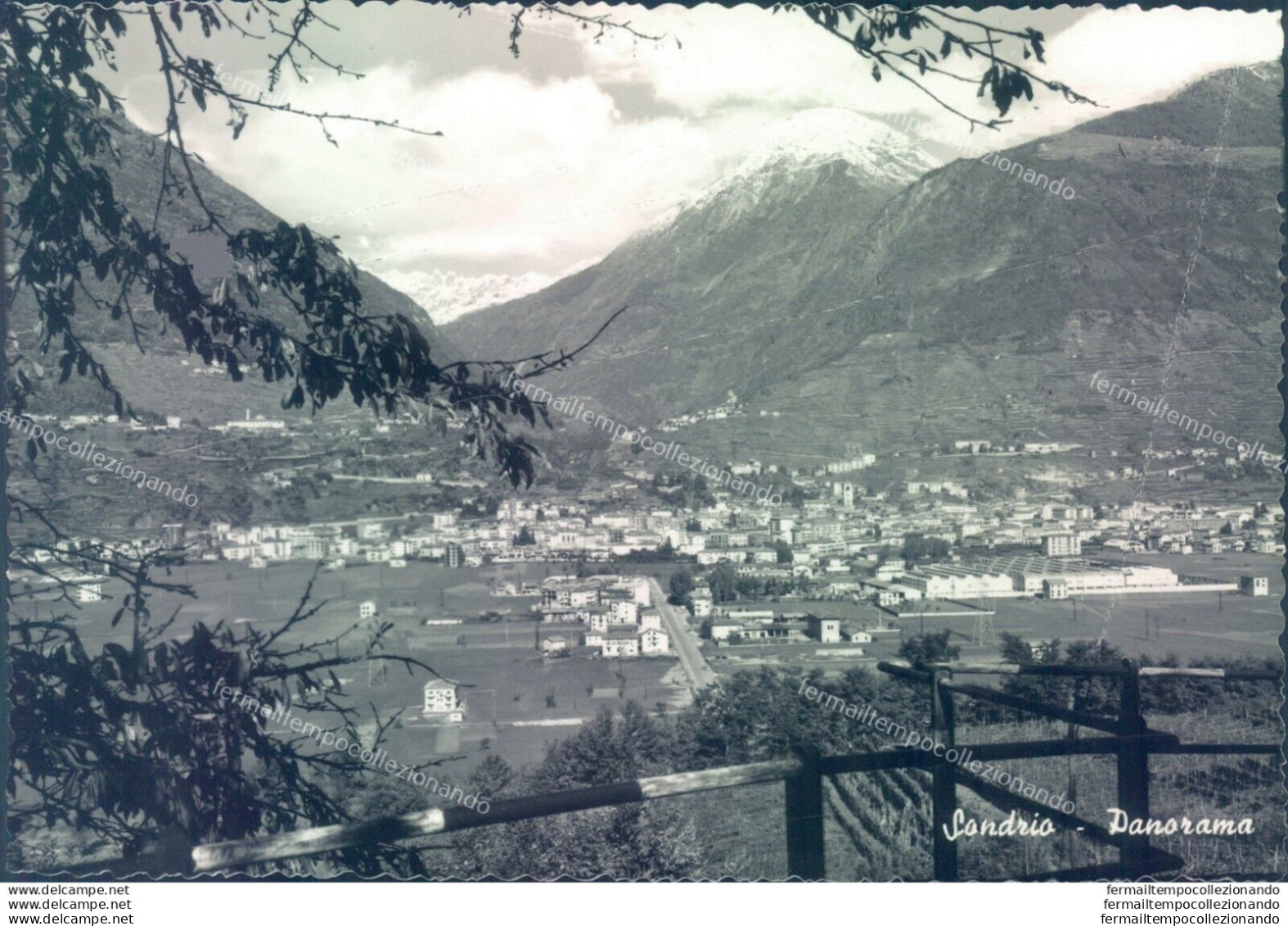 D109 - Cartolina Sondrio Citta'  - Panorama - Sondrio