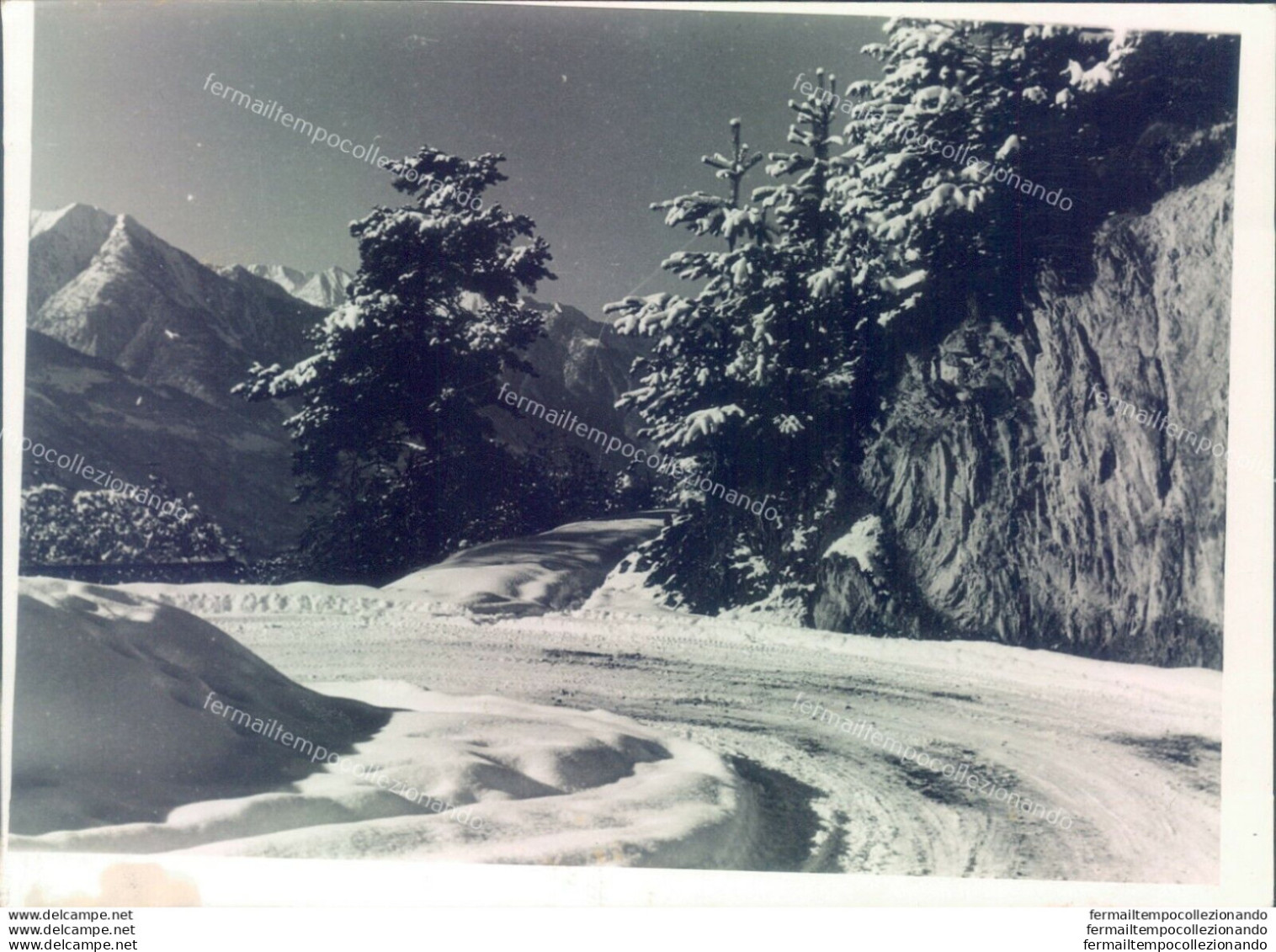 D284- Bozza Fotografica Provincia Di Sondrio - Dintorni Di Prasomaso E Alpemugo - Sondrio