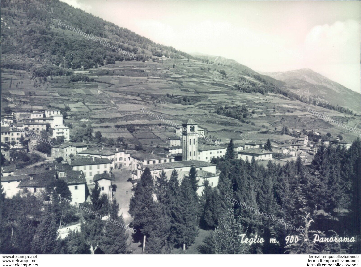 D43 - Cartolina  Provincia Di Sondrio - Teglio Panorama - Sondrio