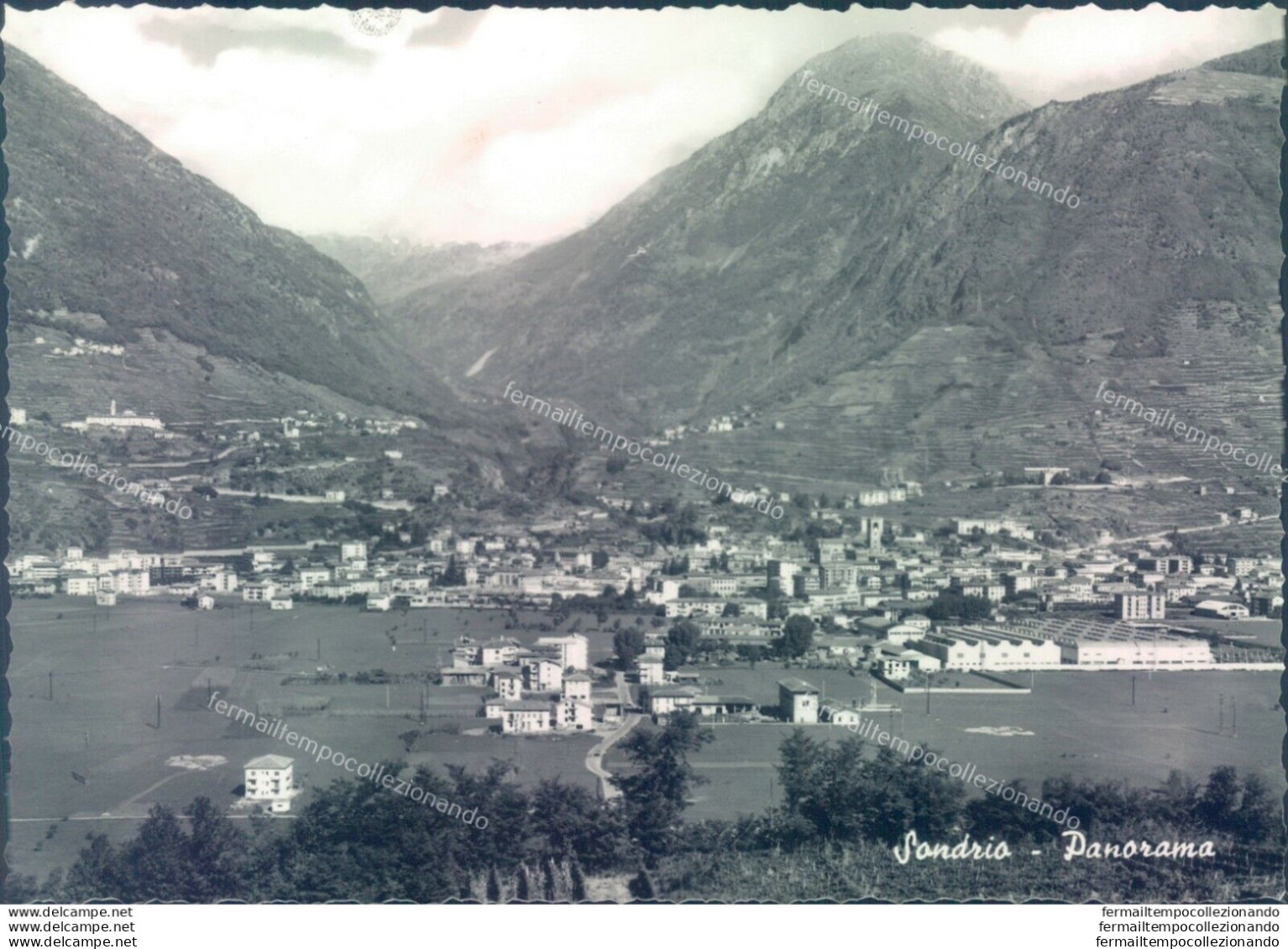 D112 - Cartolina Sondrio Citta'  -  Panorama - Sondrio