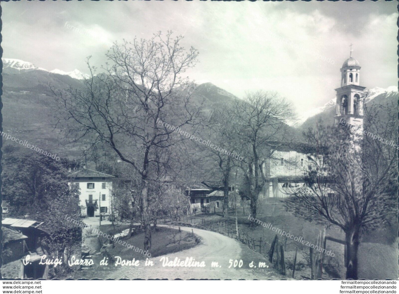 D317 - Cartolina  Provincia Di Sondrio-s.luigi Sazzo Di Ponte In Valtellina - Sondrio