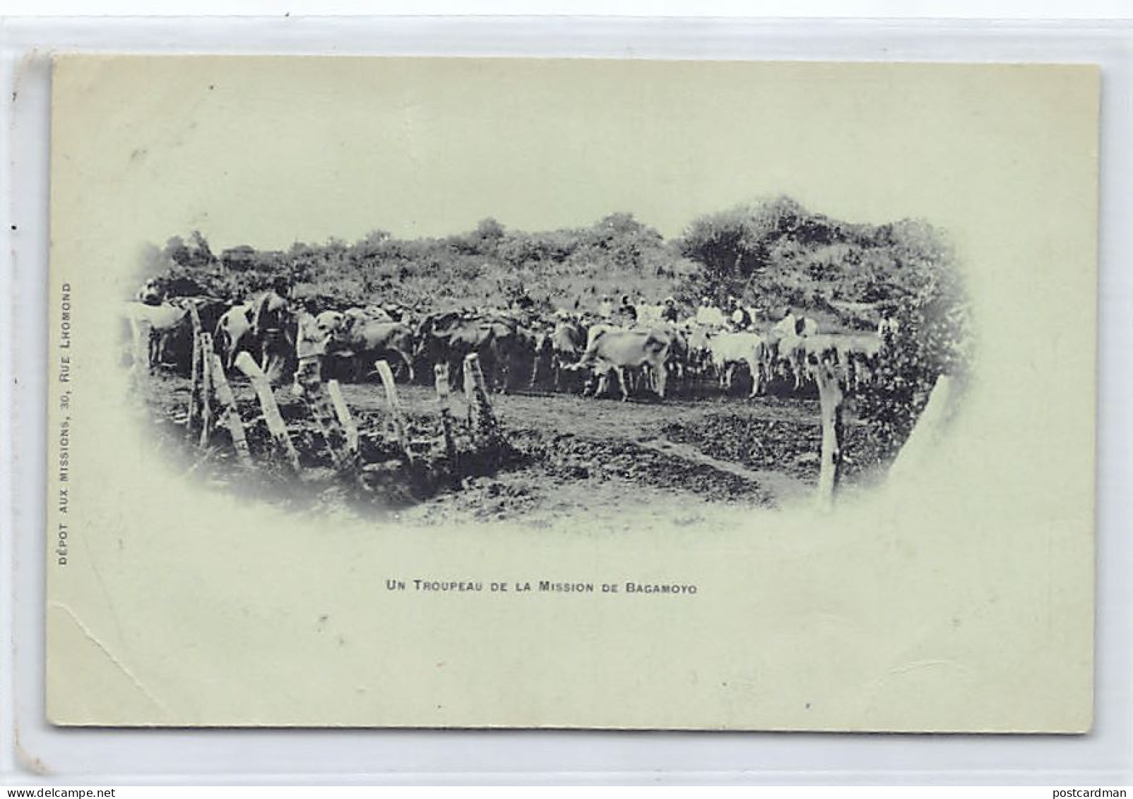 Tanganyika - A Flock From The Bagamoyo Mission - Publ. Dépôt Aux Missions  - Tansania