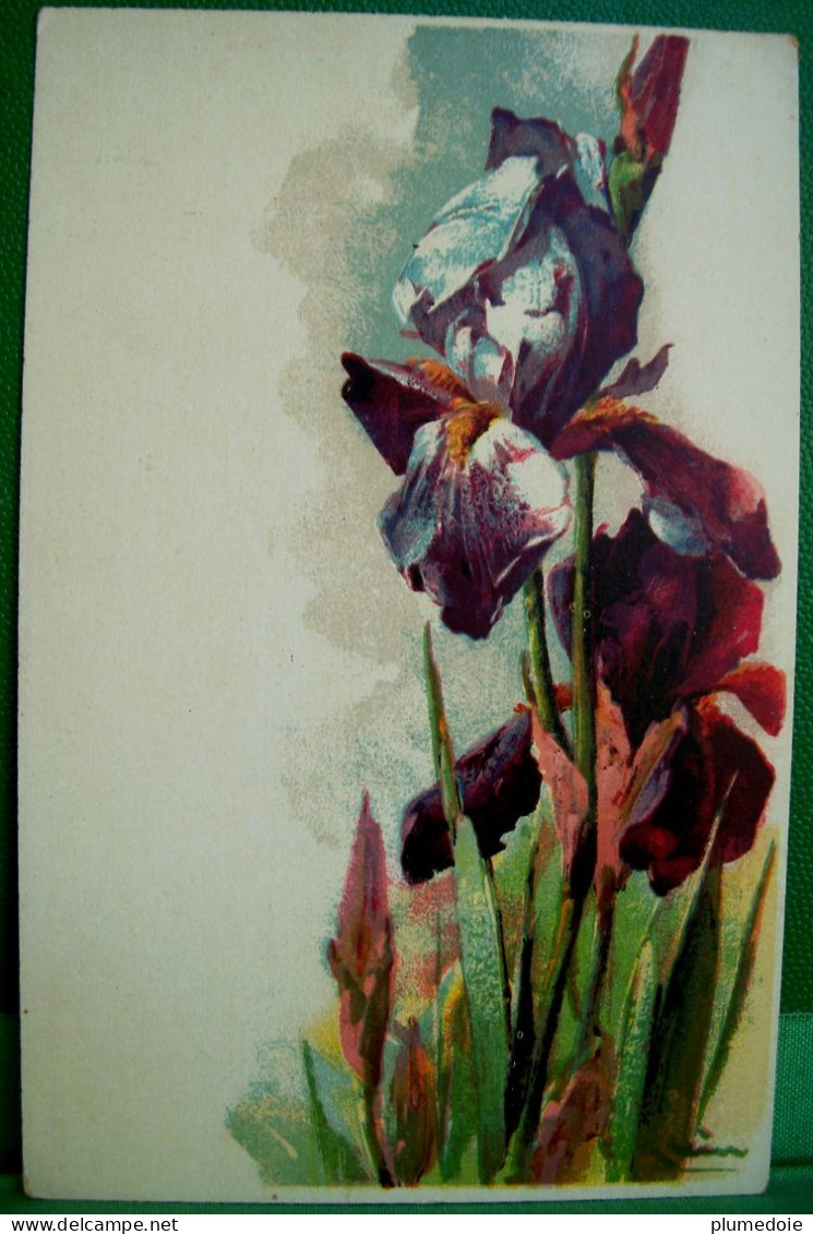 Cpa FLEURS Signée C KLEIN , IRIS MULTICOLORES , ARTIST SIGNED FLOWERS IRISES OLD PC - Klein, Catharina