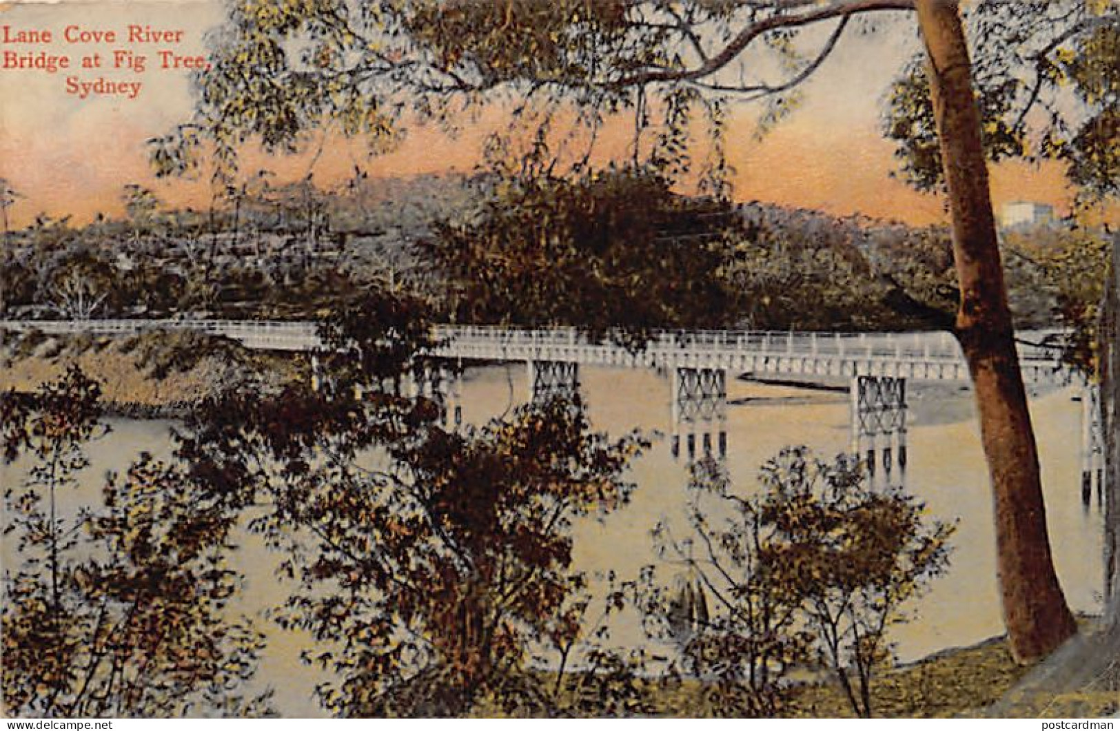 Australia - SYDNEY - Lane Cove River Bridge At Fig Tree - Publ. The Kangaroo Series 1301 - Sydney