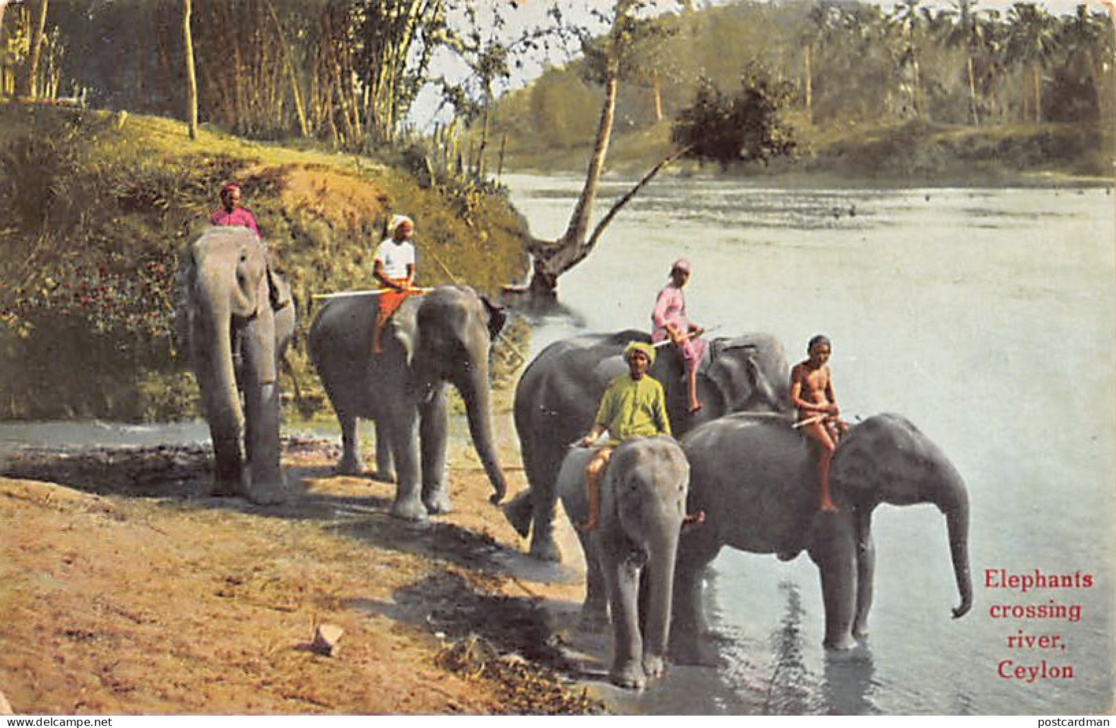 Sril Lanka - Elephants Crossing River - Publ. M. B. Uduman - The Travellers Mart 125 - Sri Lanka (Ceylon)