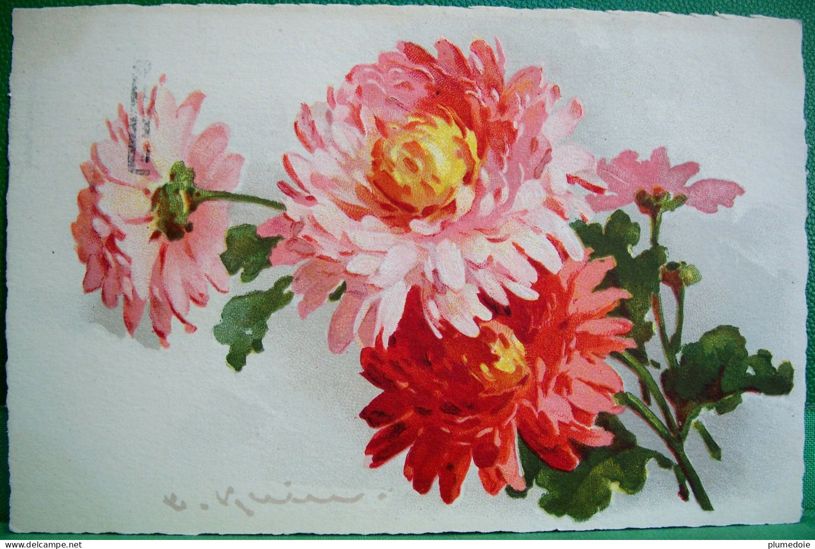 CPA  ILLUSTRATEUR . FLEURS . REINE MARGUERITES . 1933 . FLOWERS   Callistephus Chinensis DAISY  OLD PC A/S C. KLEIN - Klein, Catharina